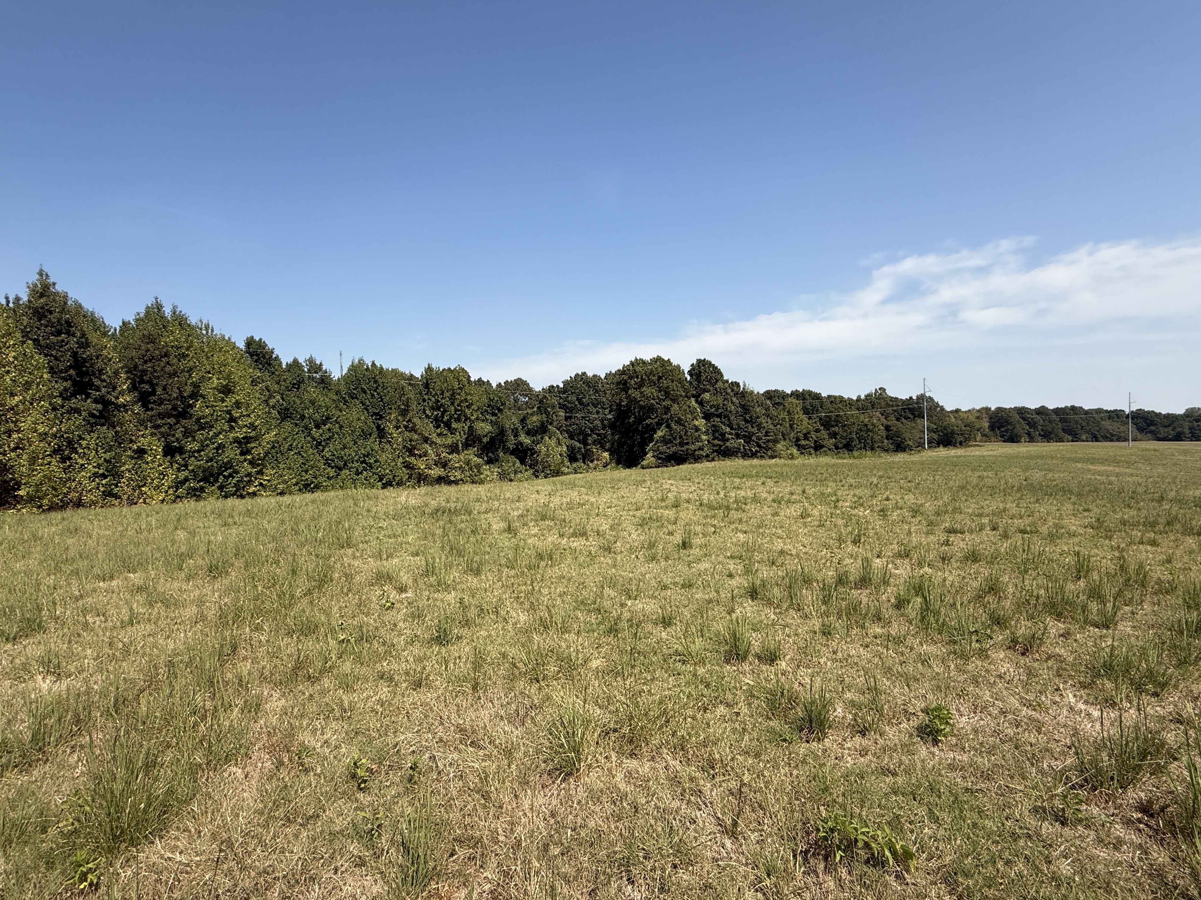 Real Estate (acreage & house) & Personal Property Auction Image