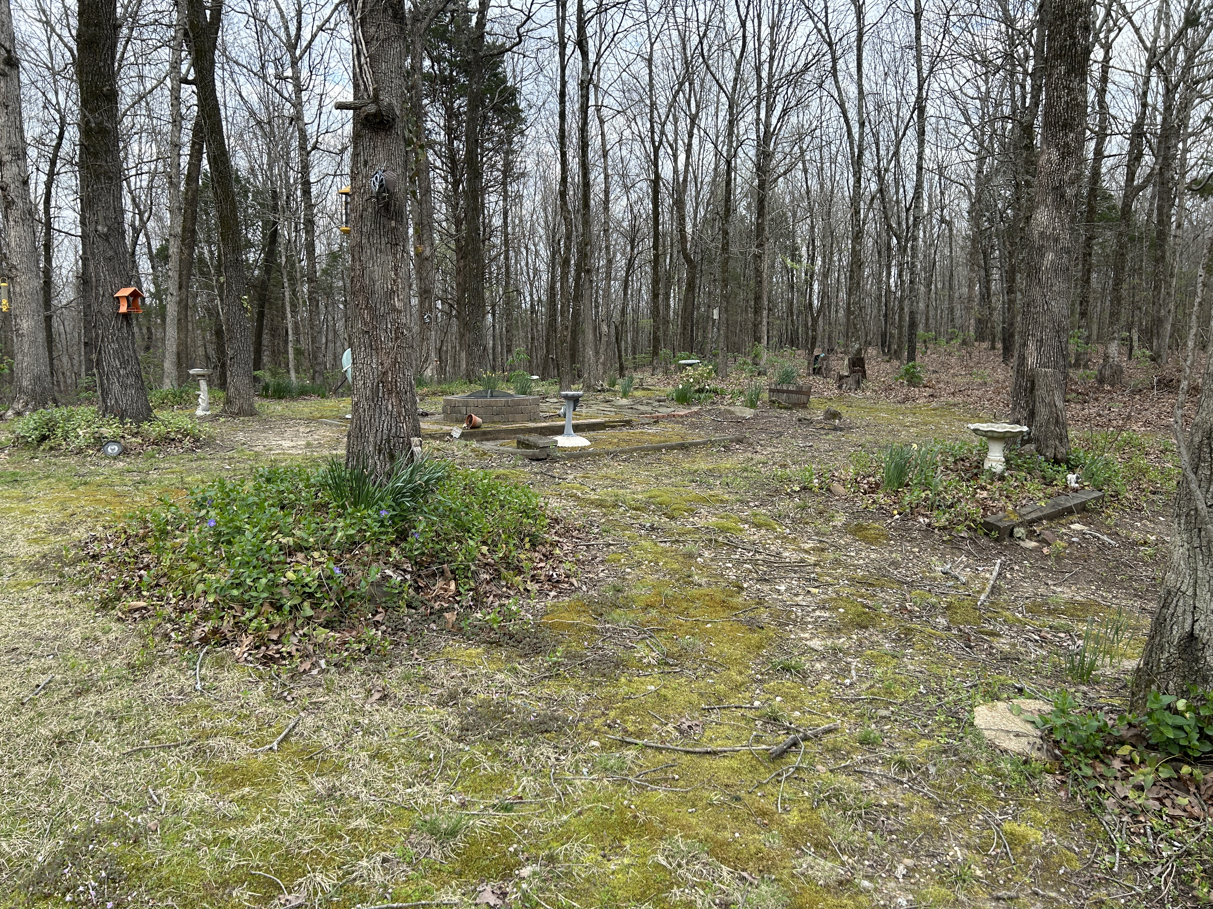 Real Estate & Personal Property Auction Image