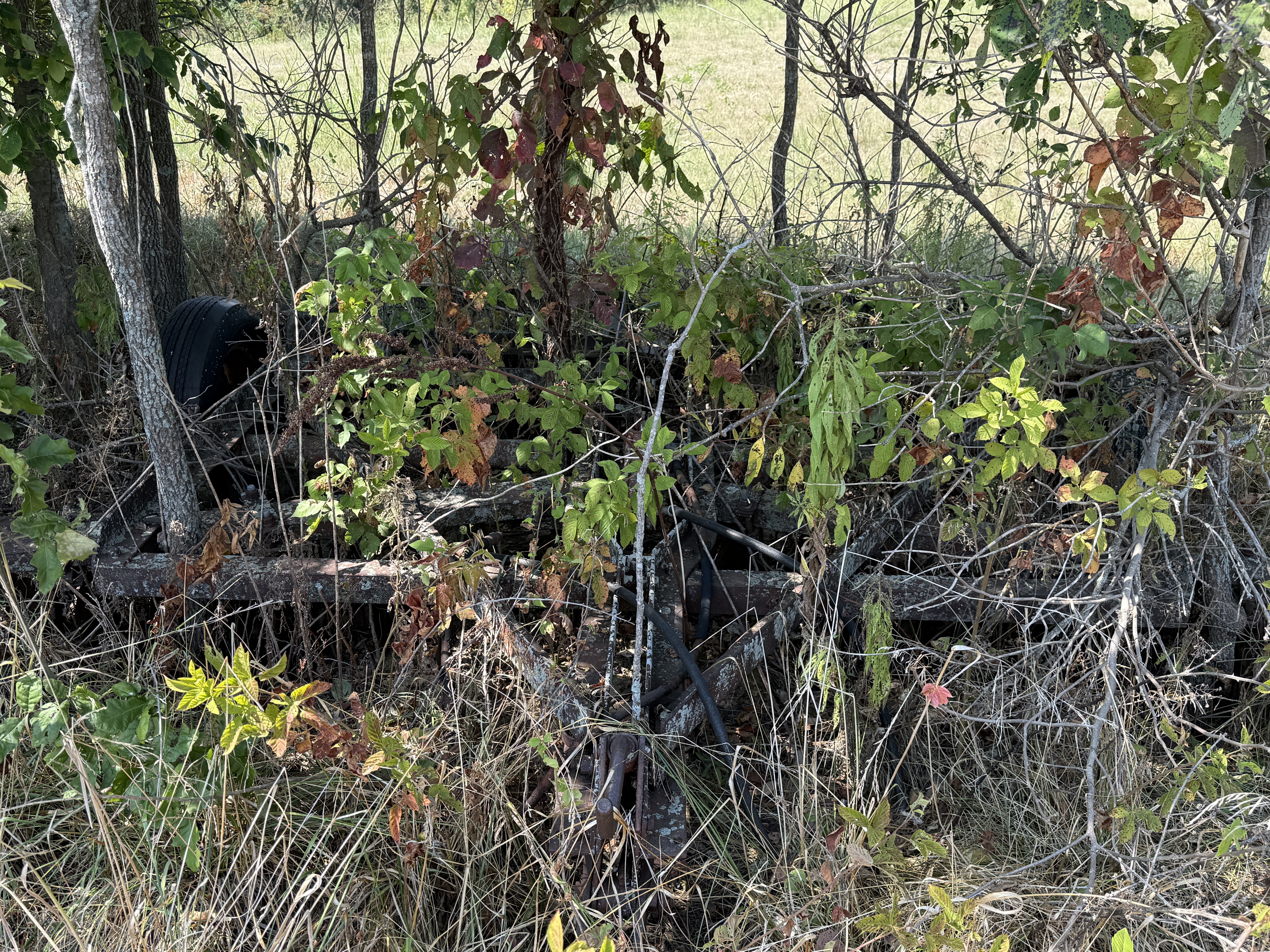 Real Estate (acreage & house) & Personal Property Auction Image