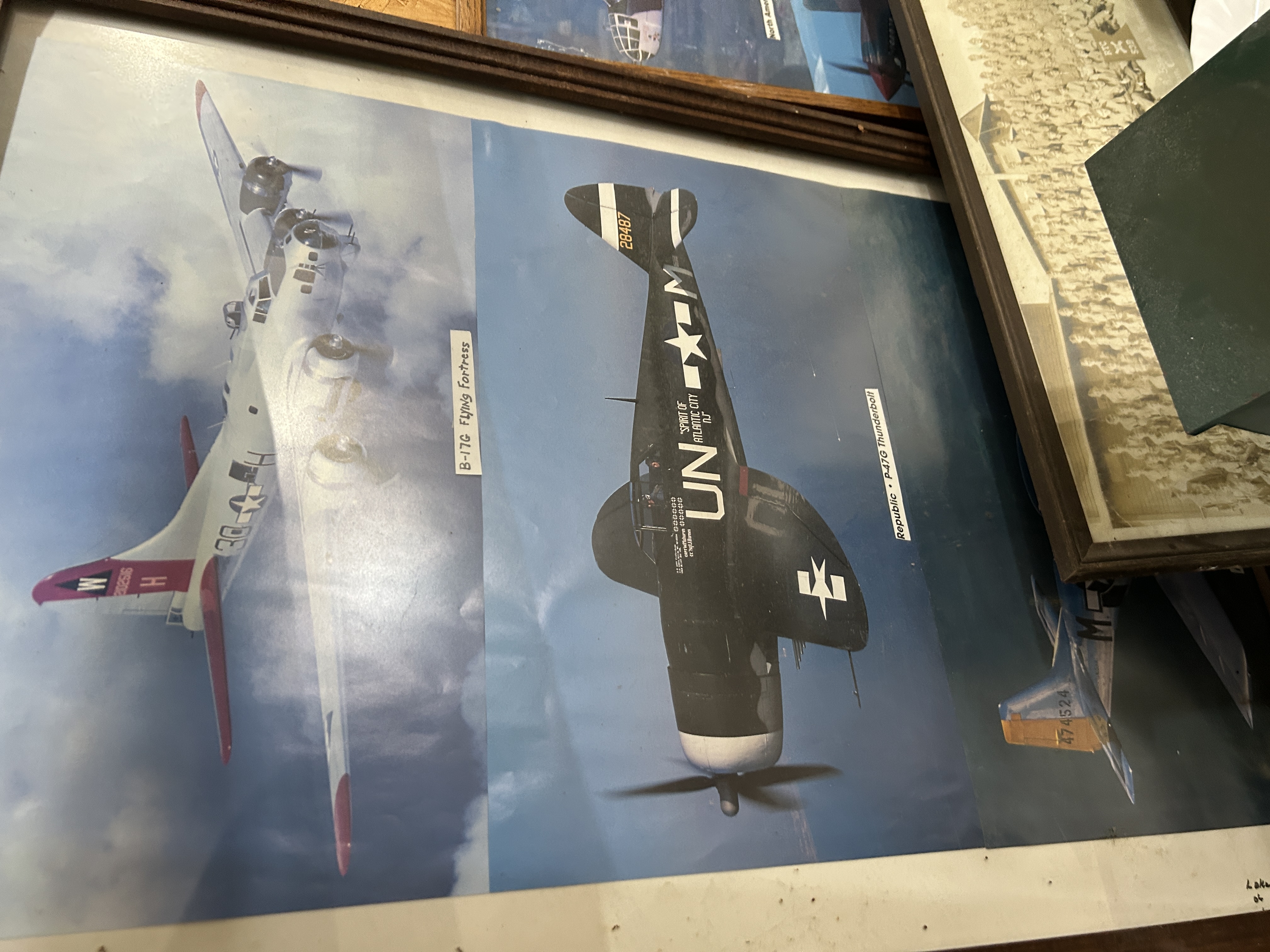Live Public Auction Image