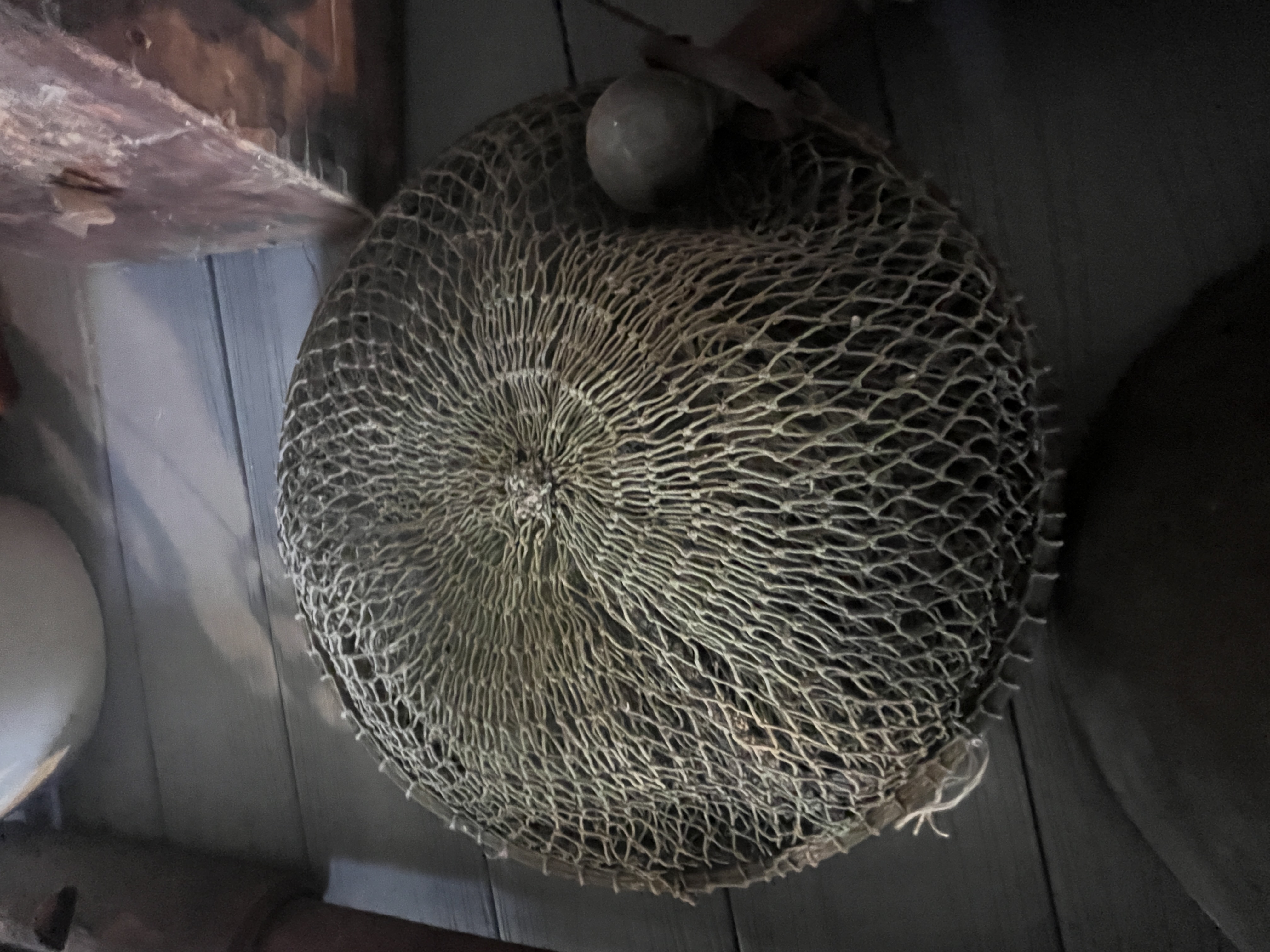 Collector's Dream Auction Image