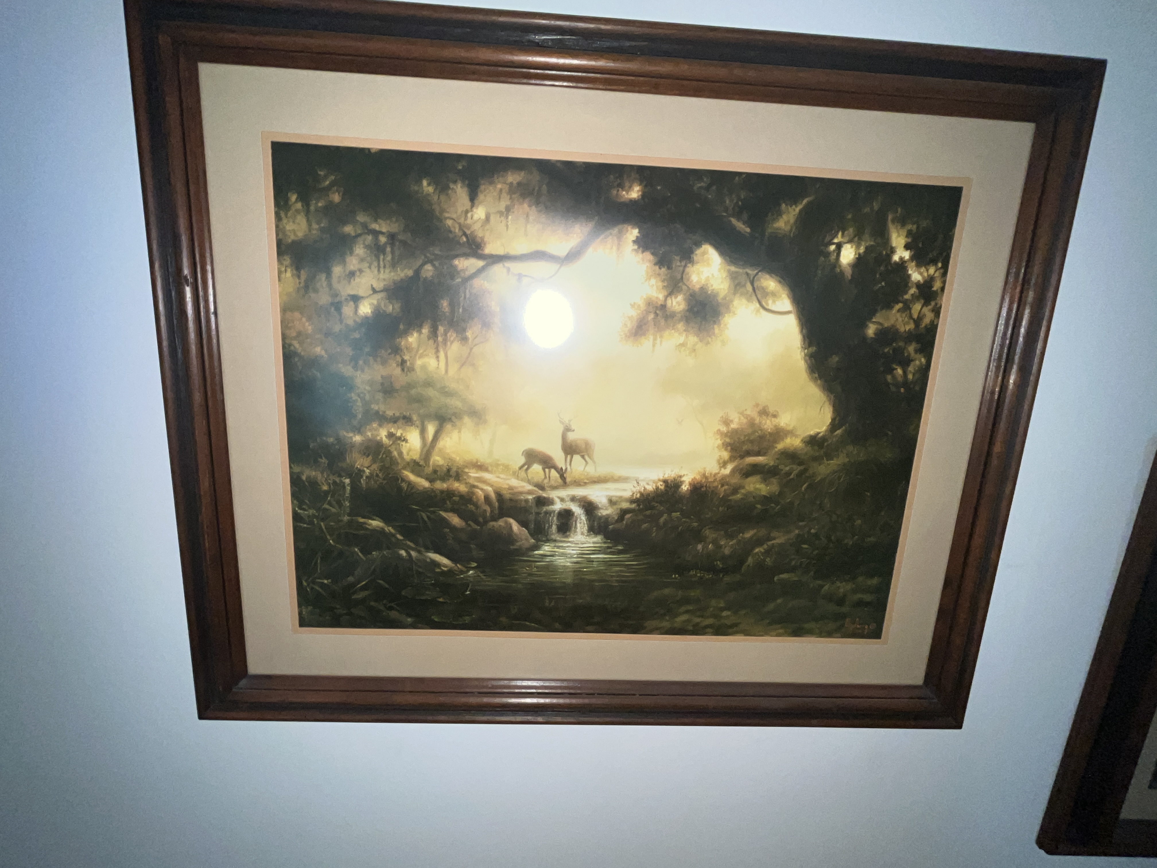 Estate Auction Image