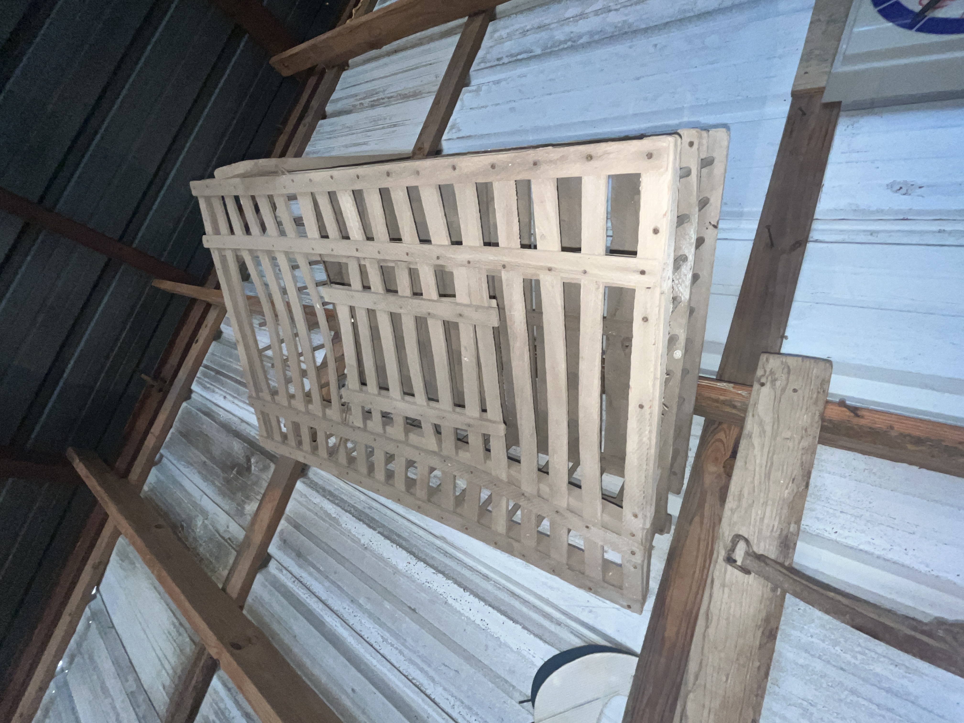 Collector's Dream Auction Image