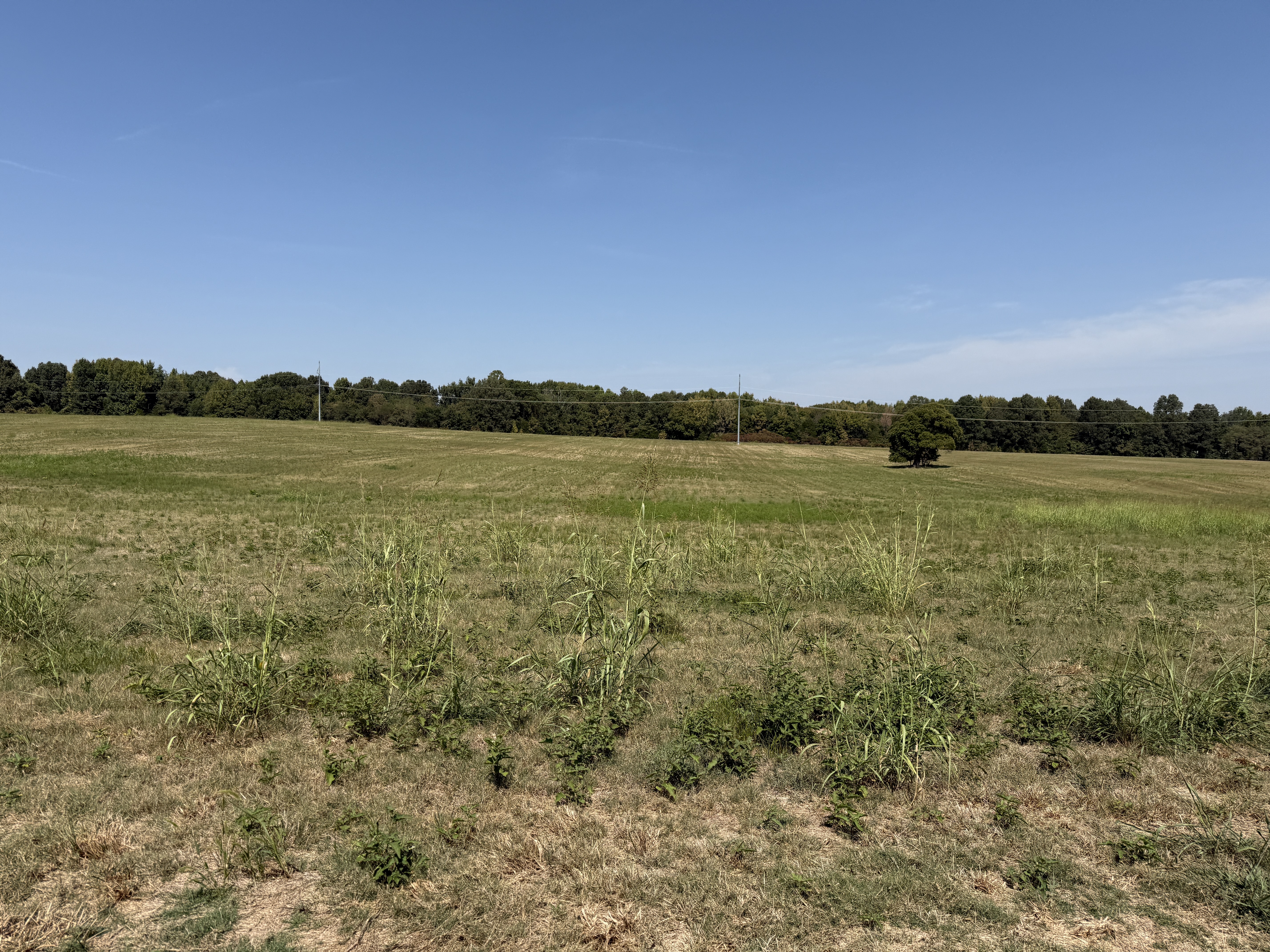 Real Estate (acreage & house) & Personal Property Auction Image