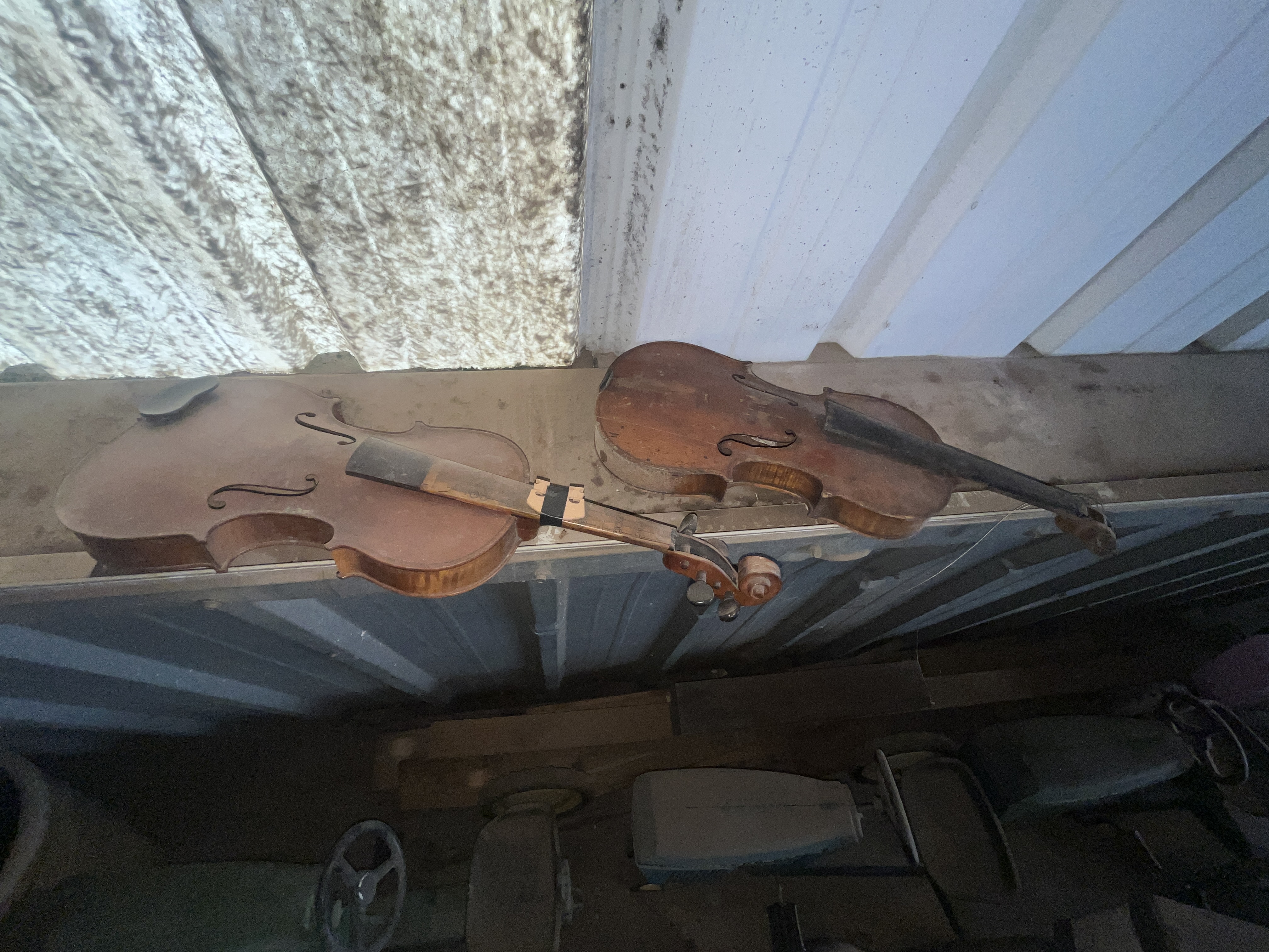 Collector's Dream Auction Image