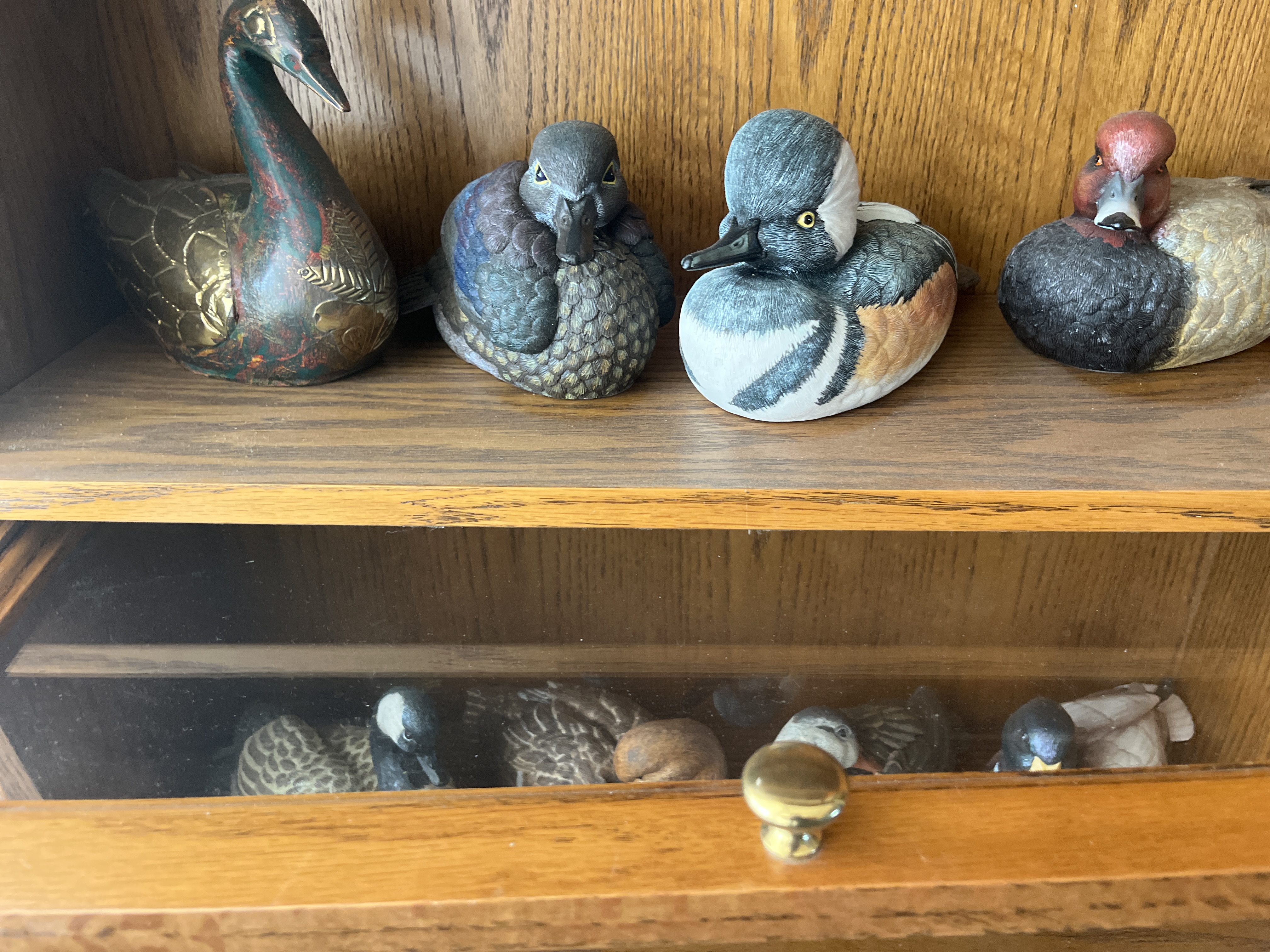 Living Estate of Ms Mary Schug Image