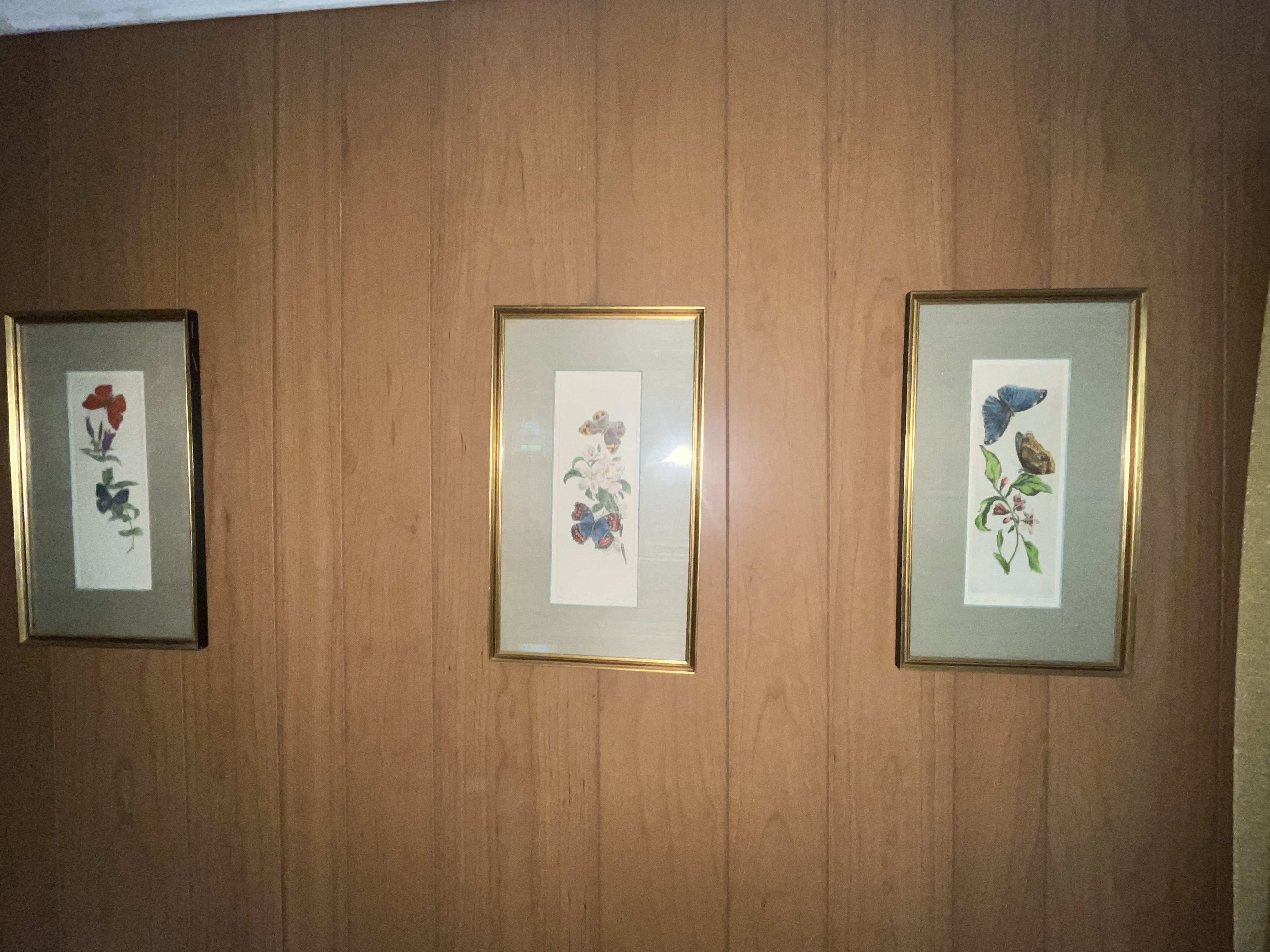Estate Auction Image