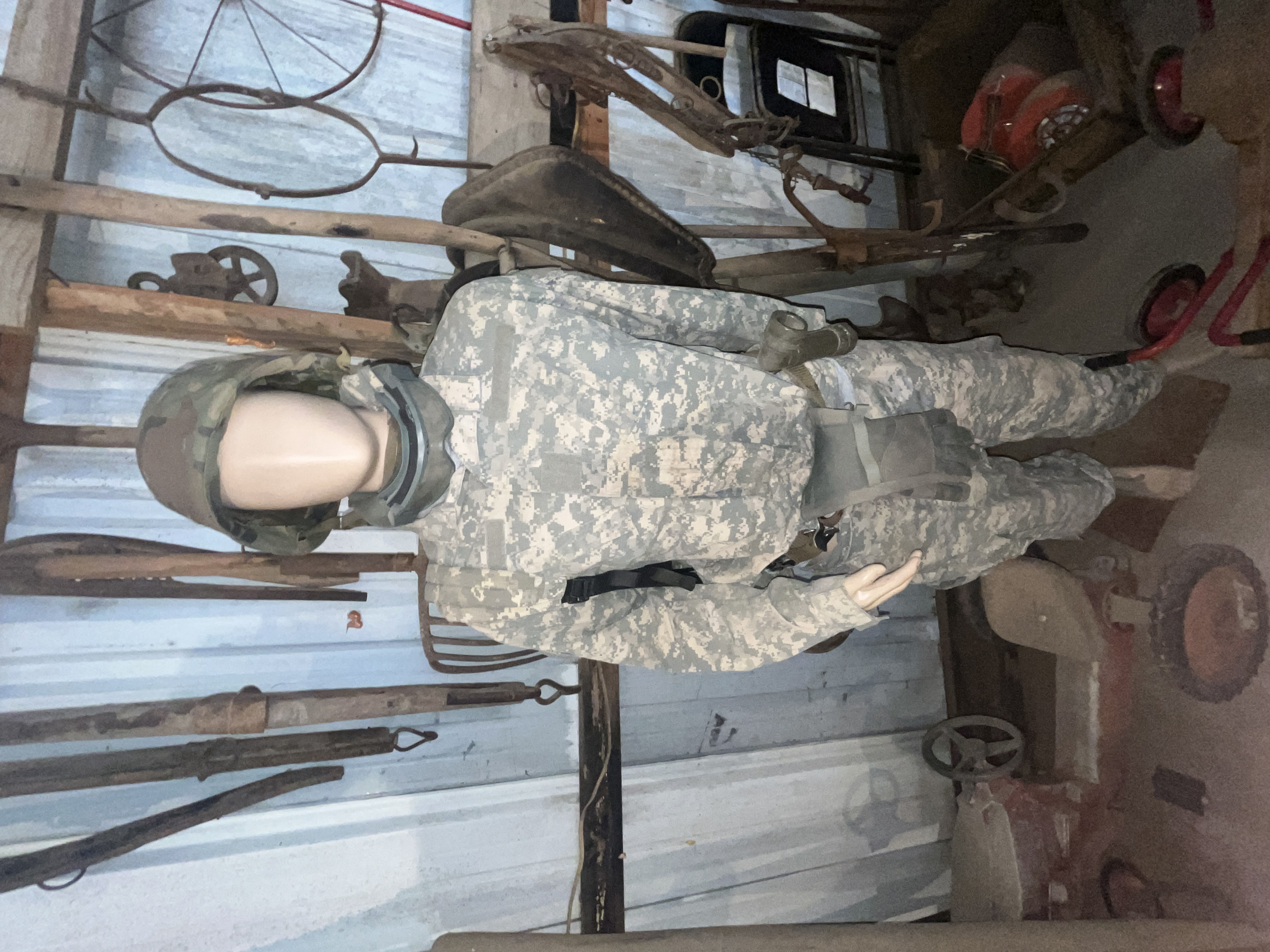 Collector's Dream Auction Image