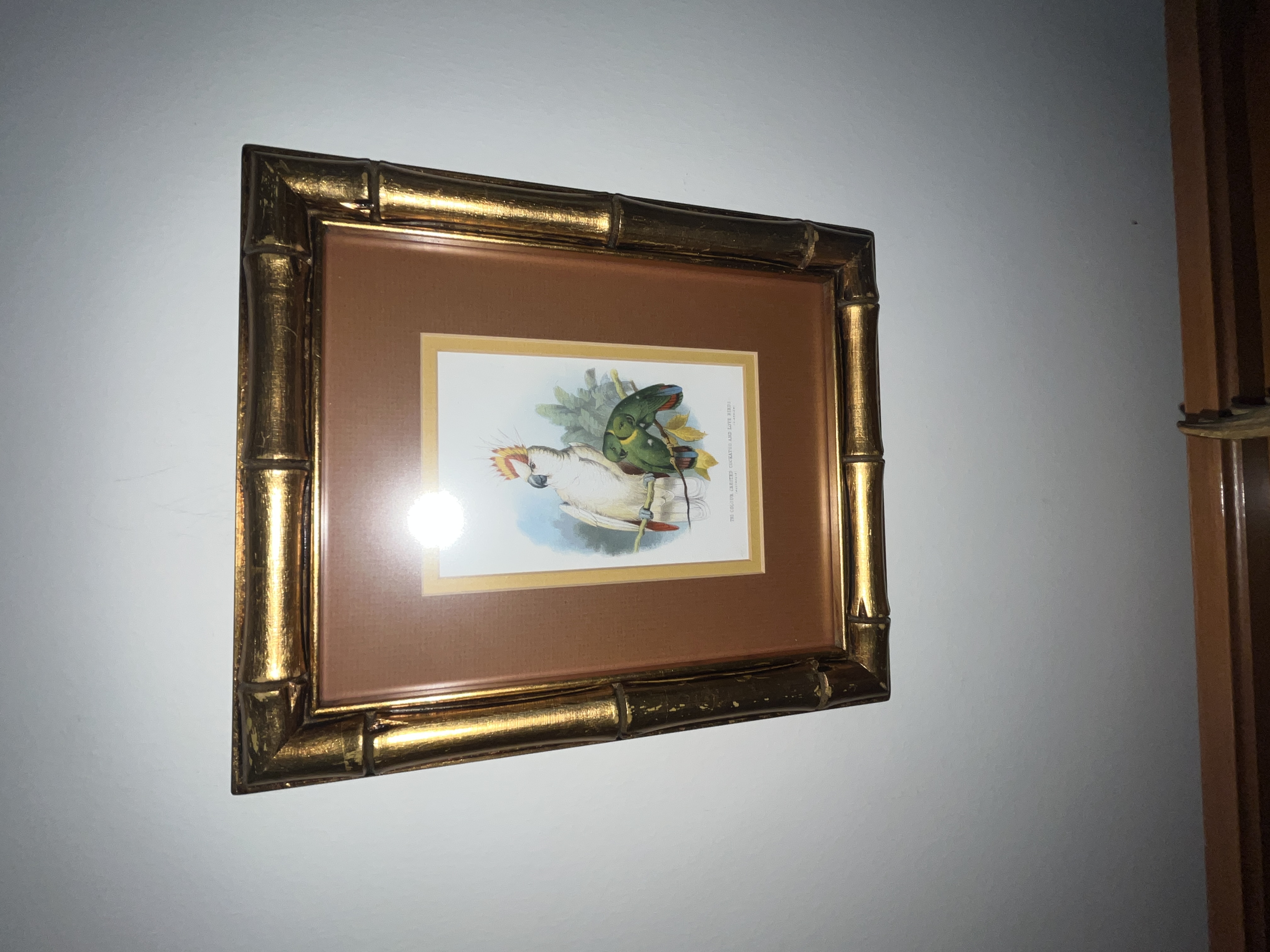 Estate Auction Image