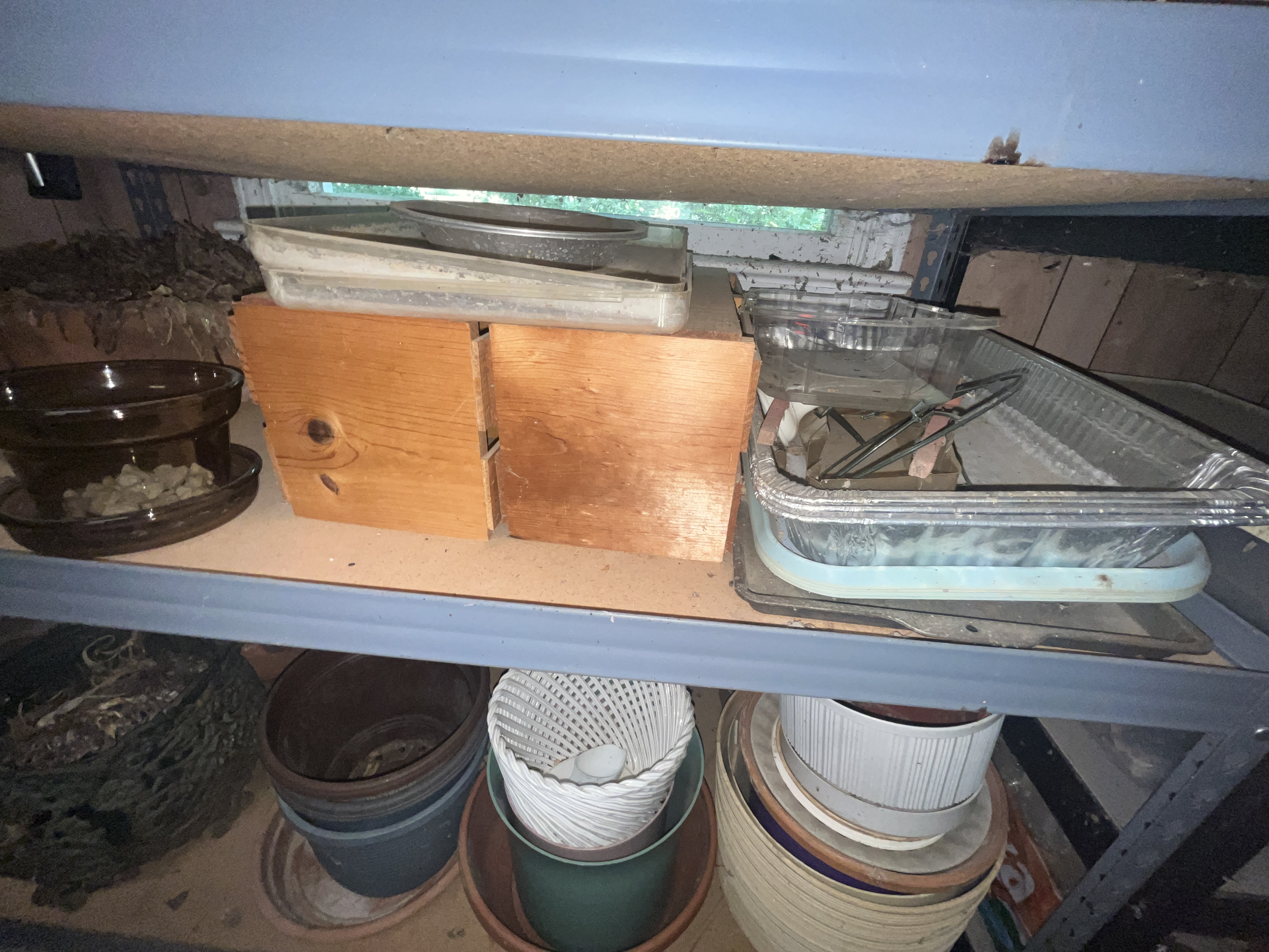 Estate Auction of Alta Grim Image