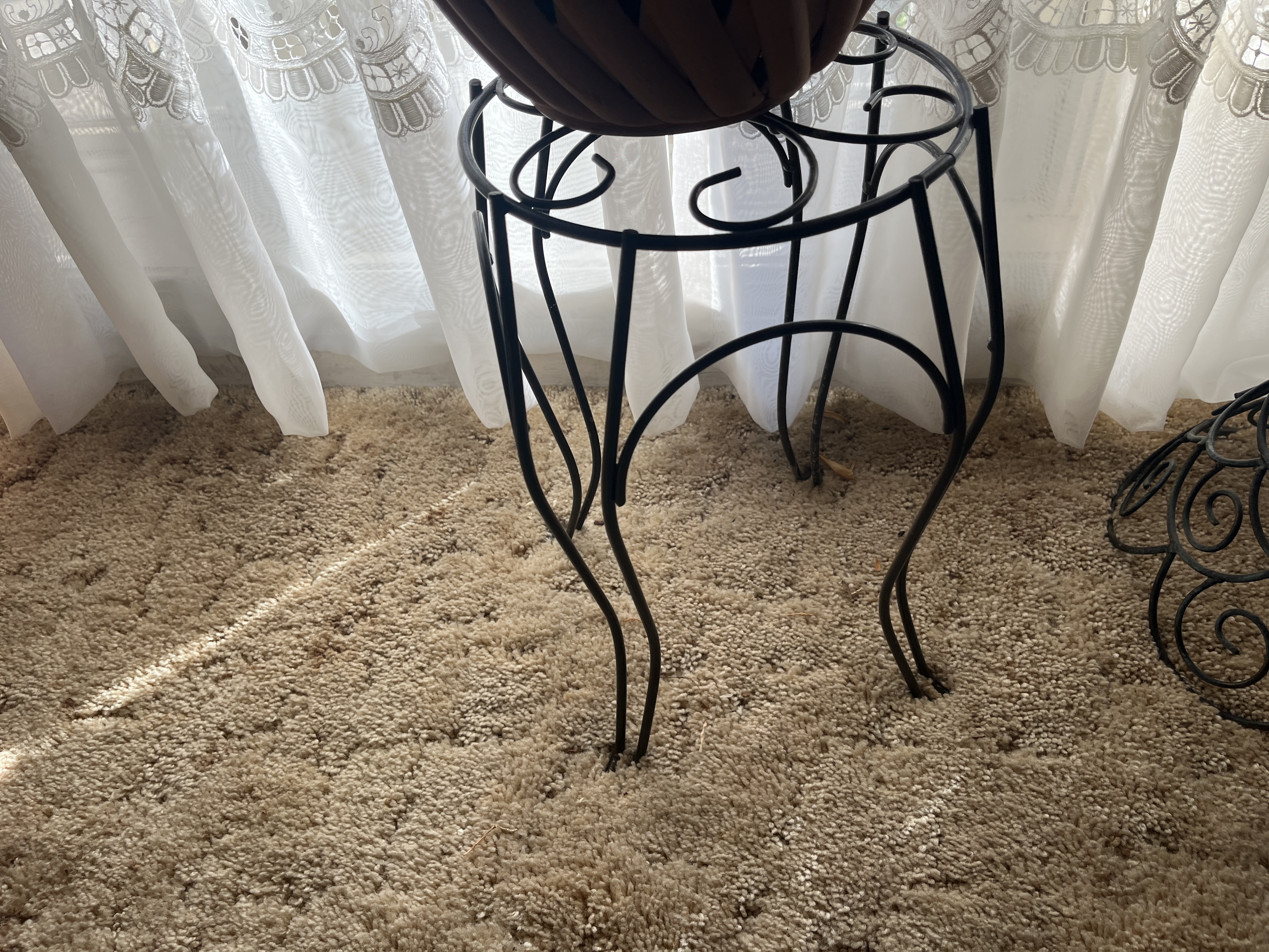 Living Estate of Ms Mary Schug Image