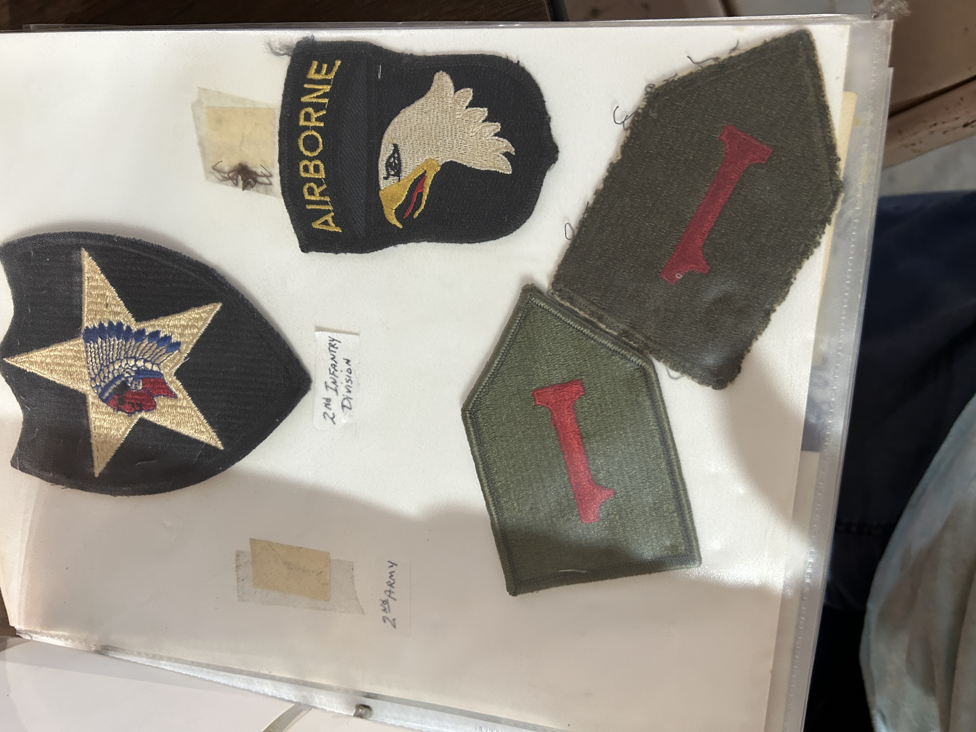 Live Public Auction Image