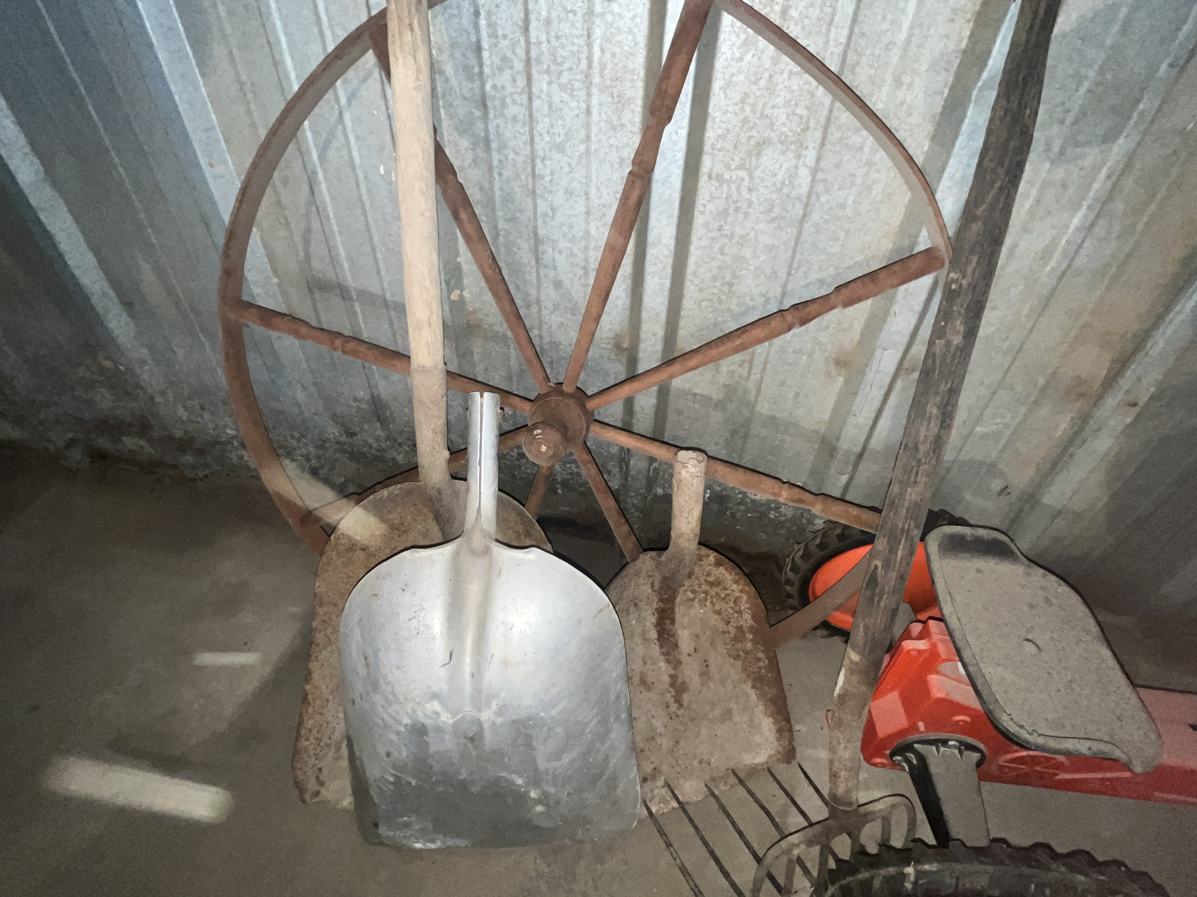 Collector's Dream Auction Image