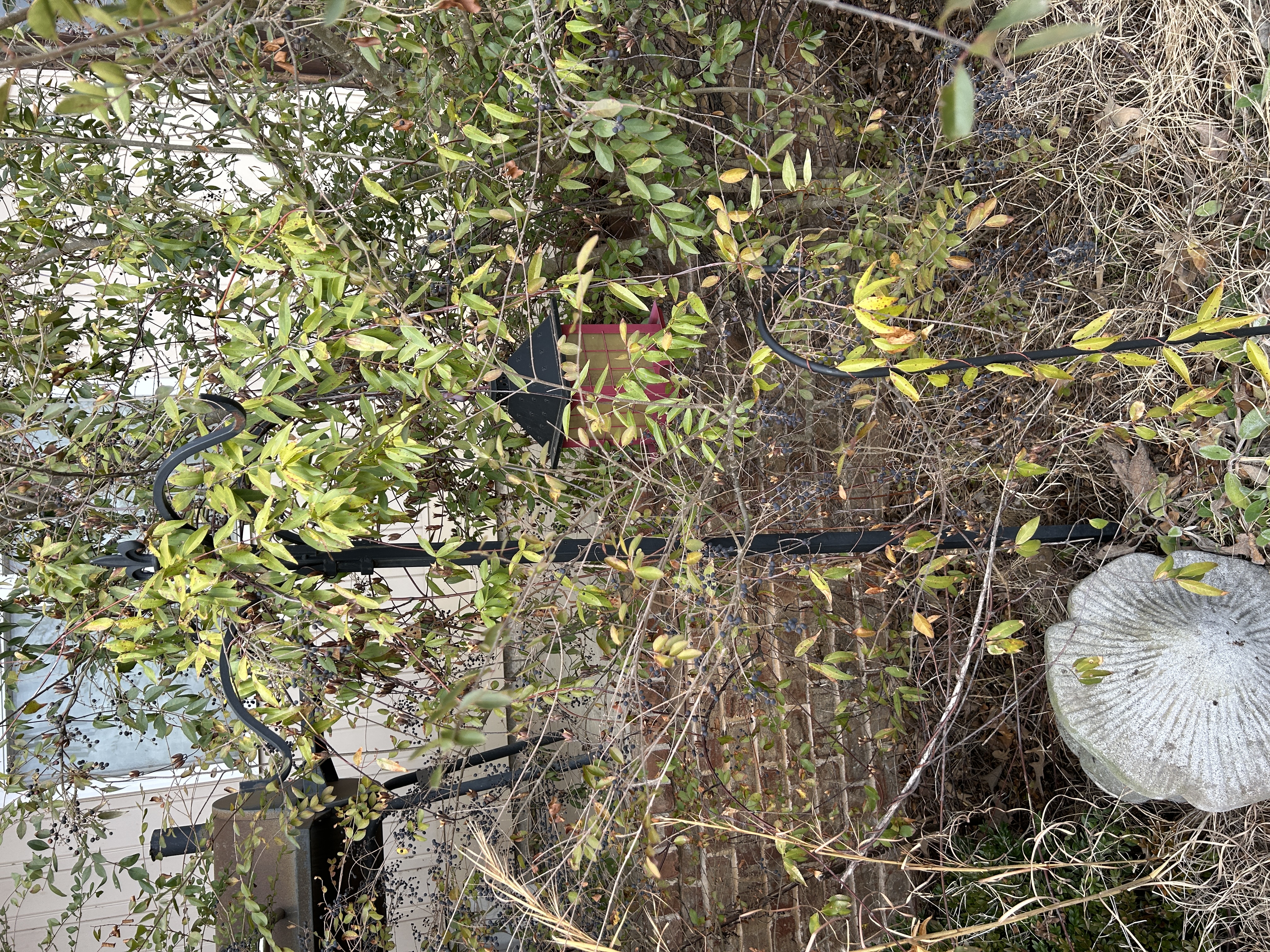 Real Estate & Personal Property Auction Image