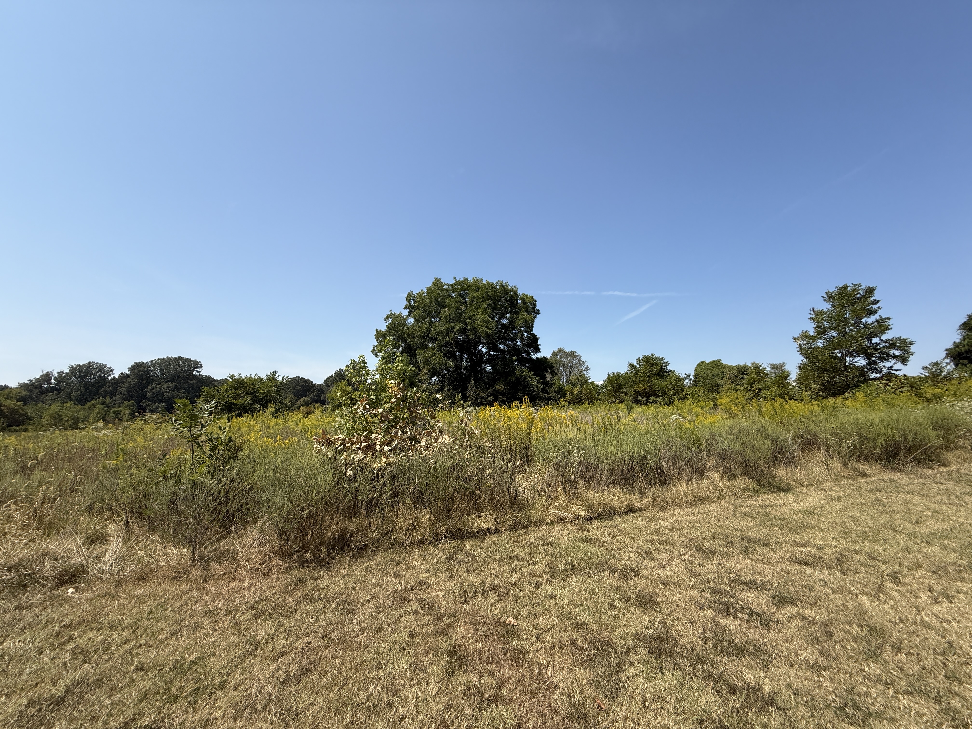 Real Estate (acreage & house) & Personal Property Auction Image