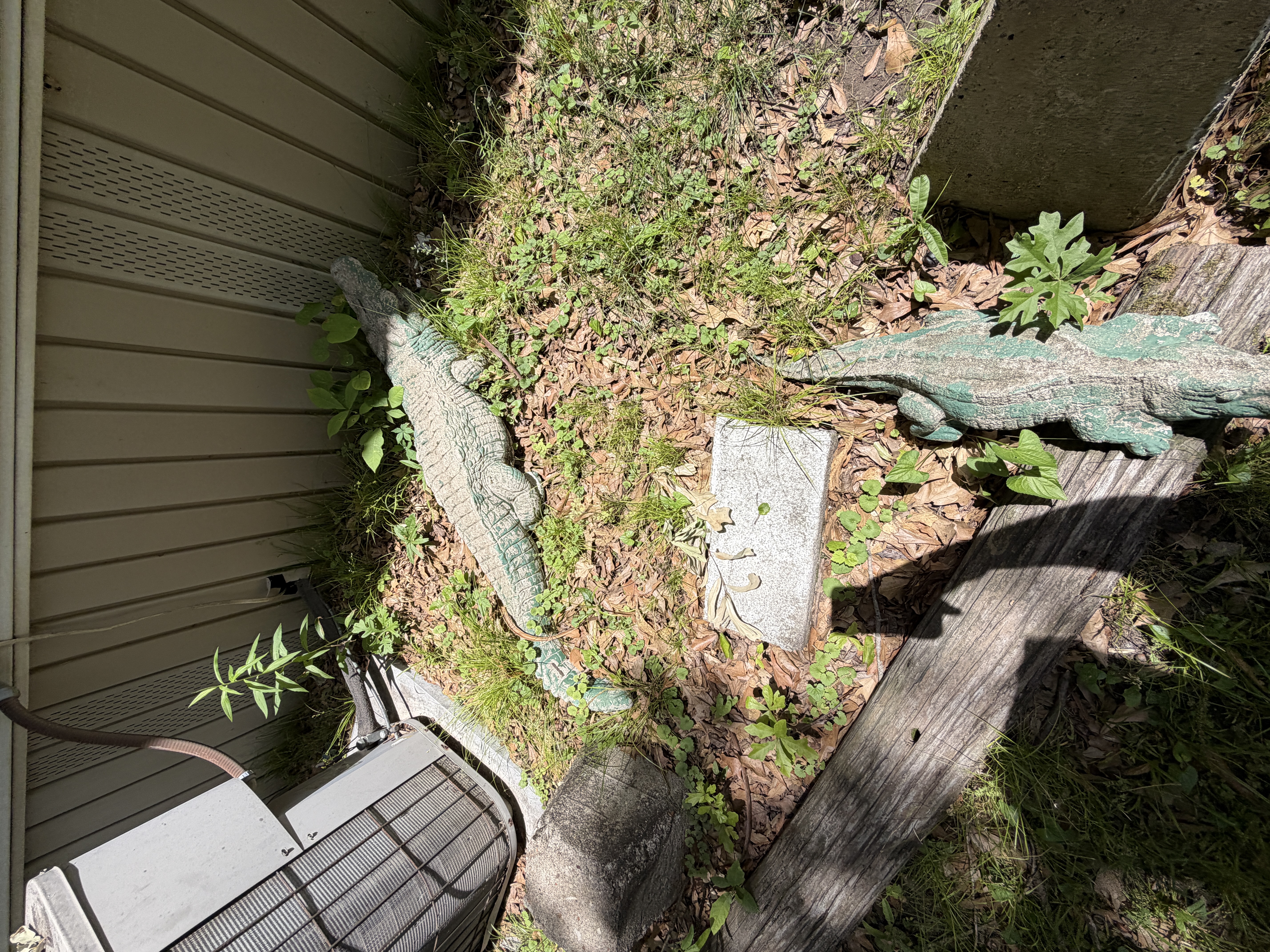 Real Estate & Personal Property Auction Image