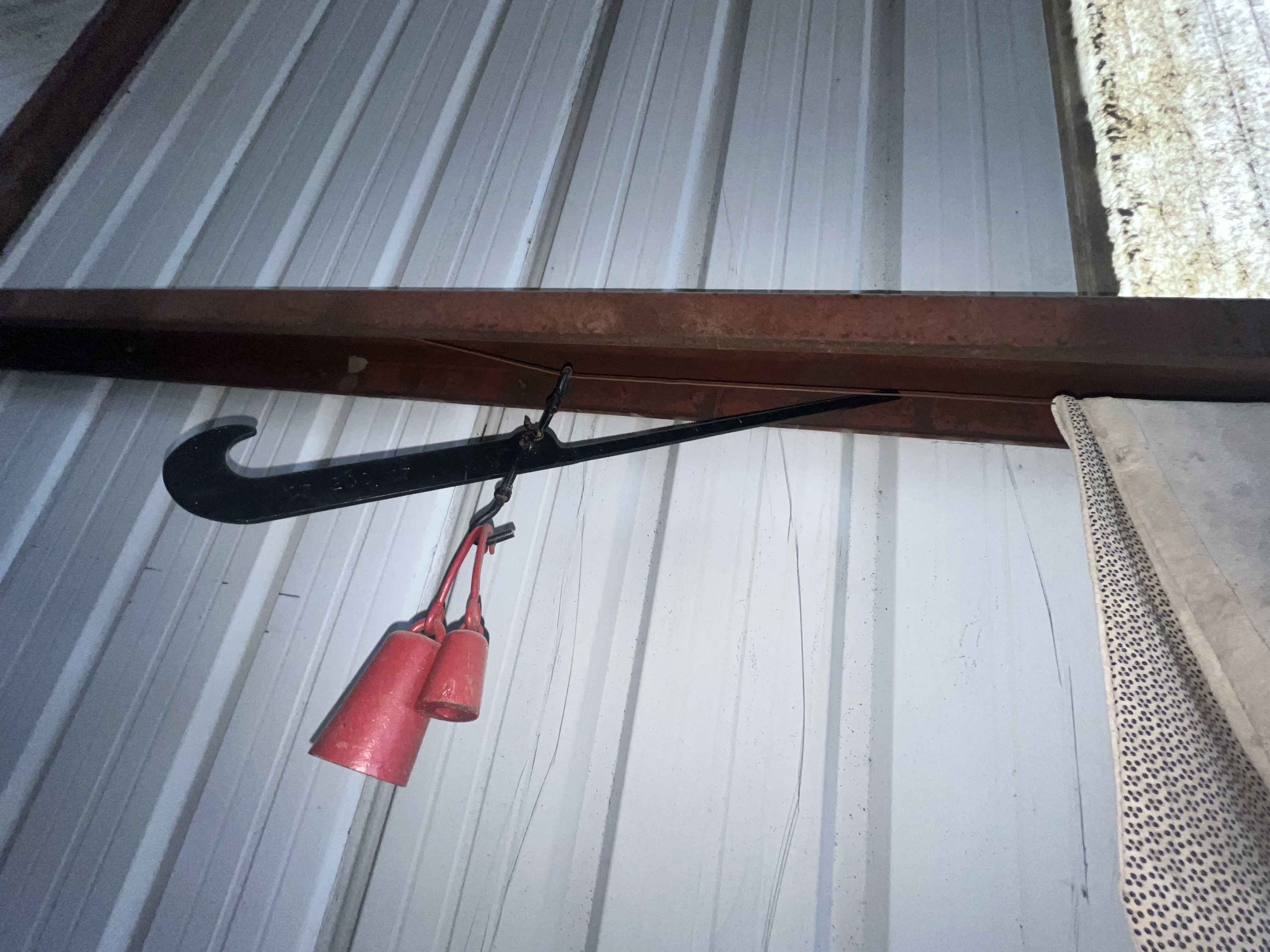 Collector's Dream Auction Image