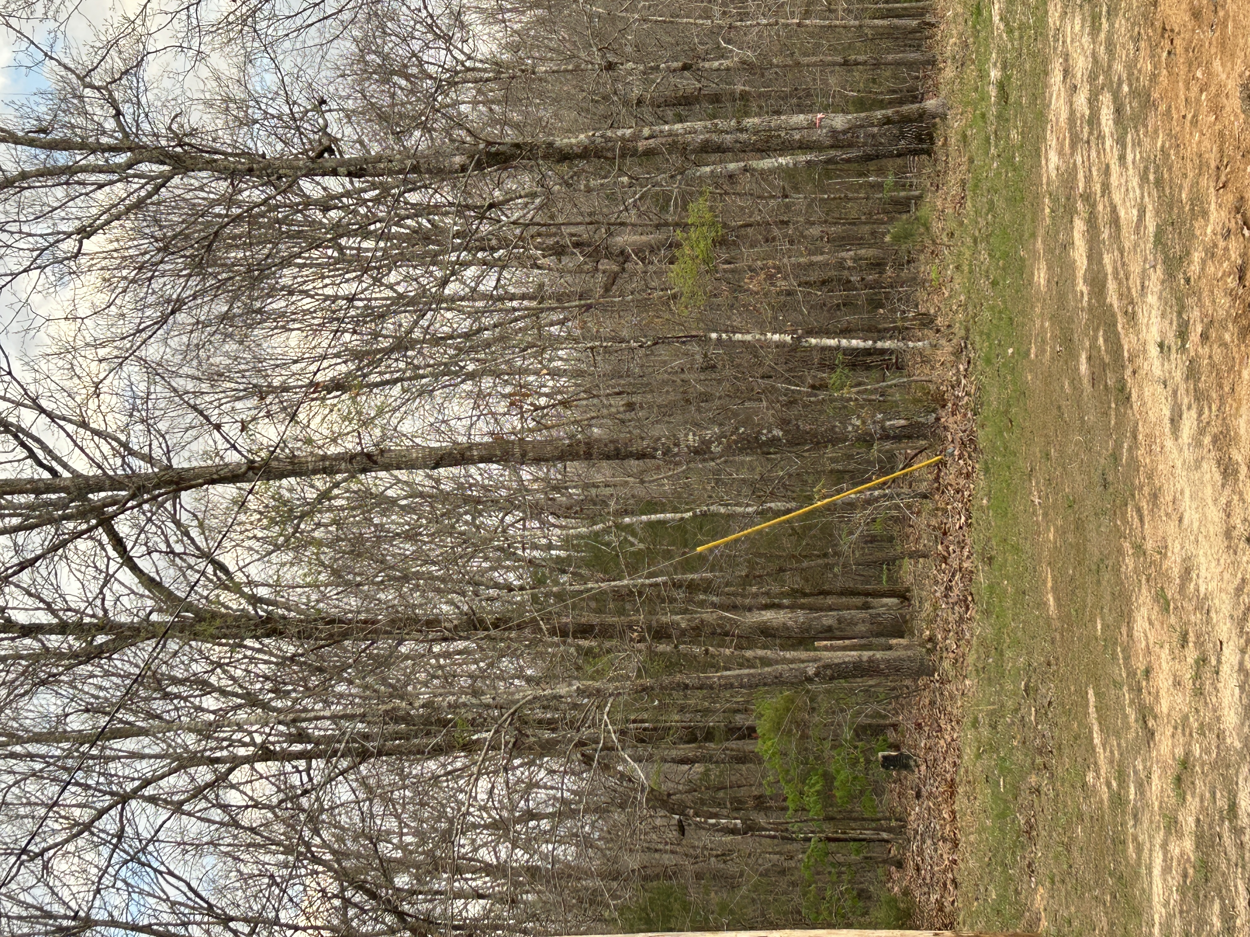 Real Estate & Personal Property Auction Image