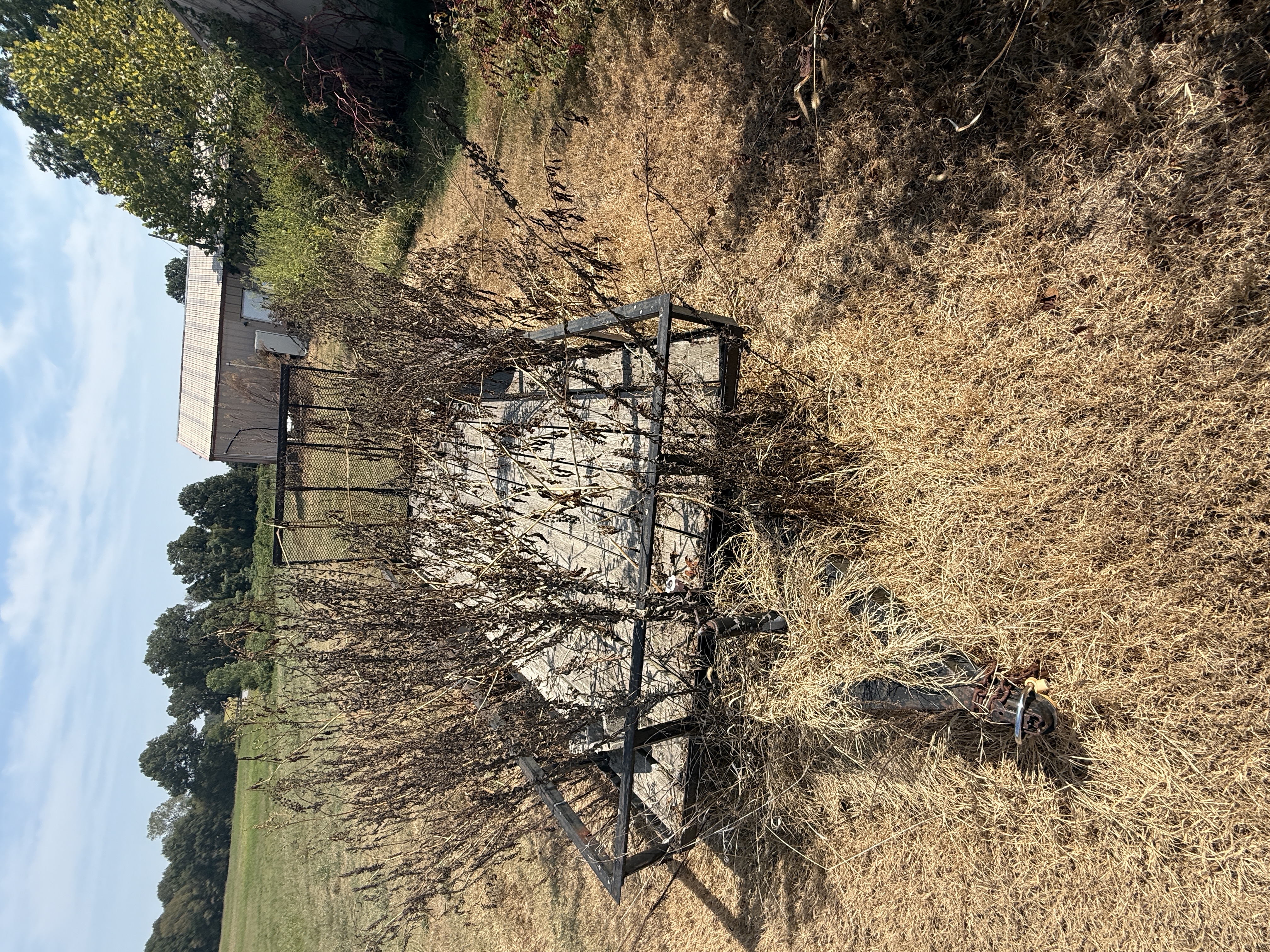 Real Estate (acreage & house) & Personal Property Auction Image