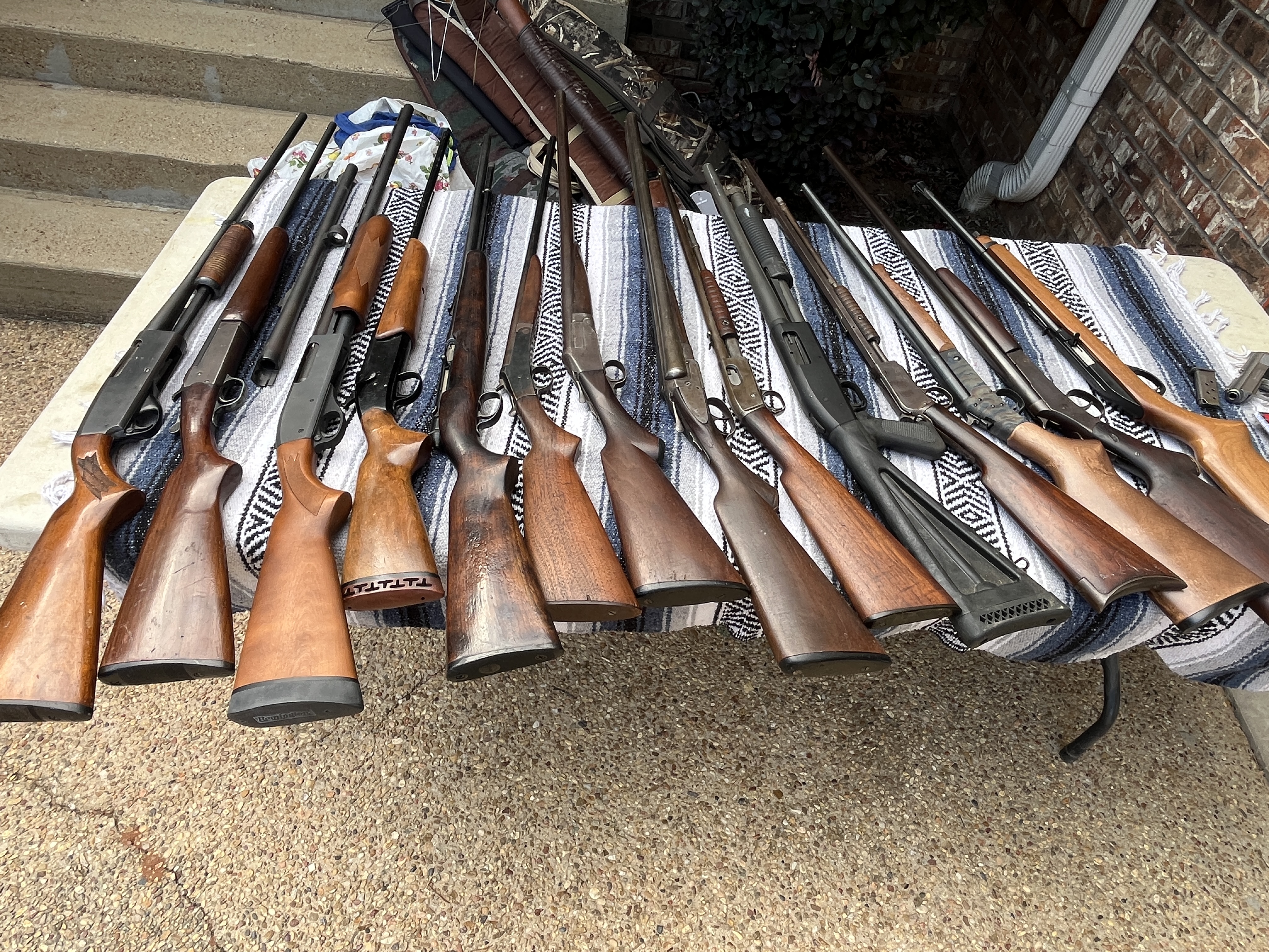 Collector's Dream Auction Image