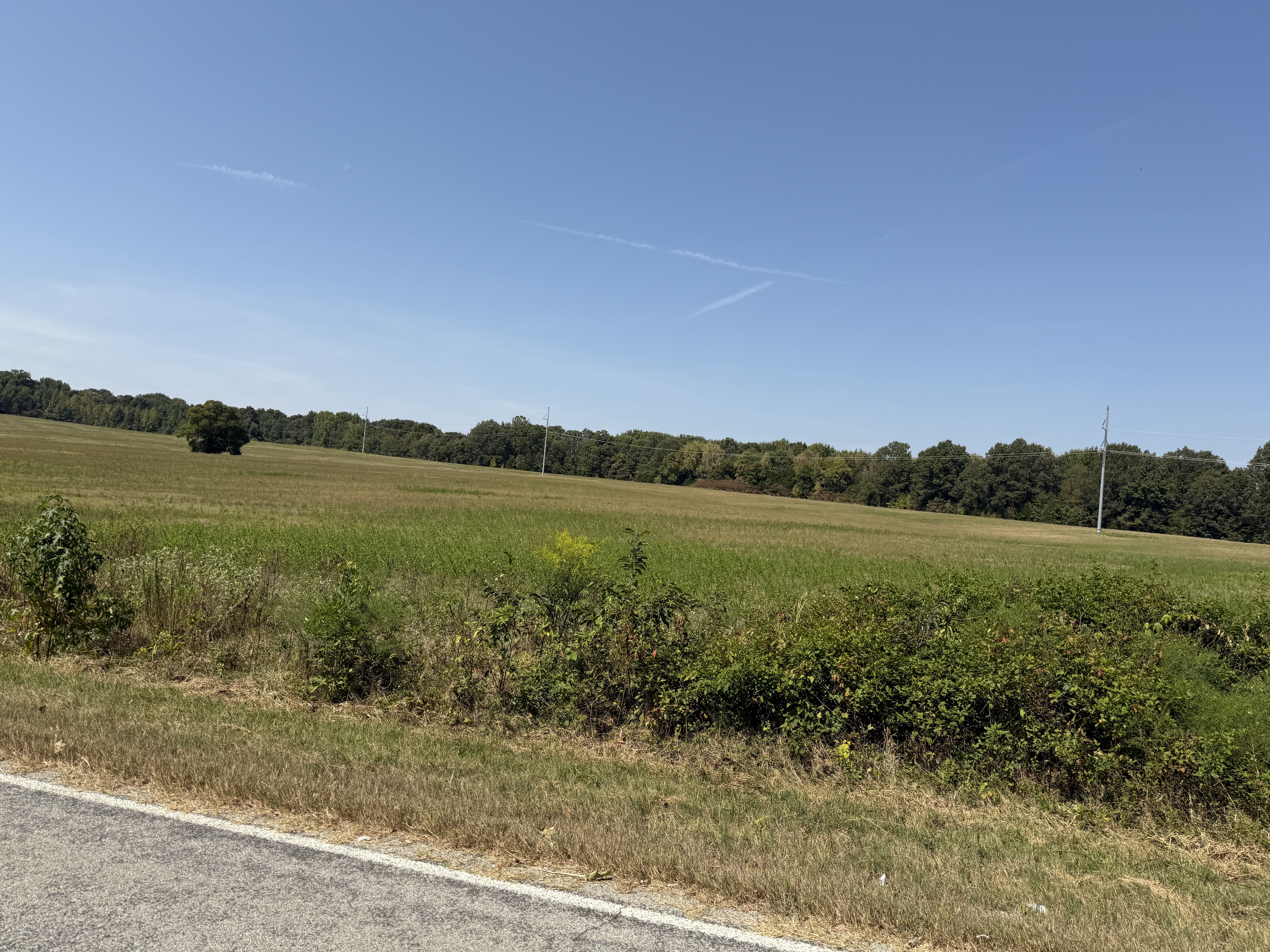 Real Estate (acreage & house) & Personal Property Auction Image
