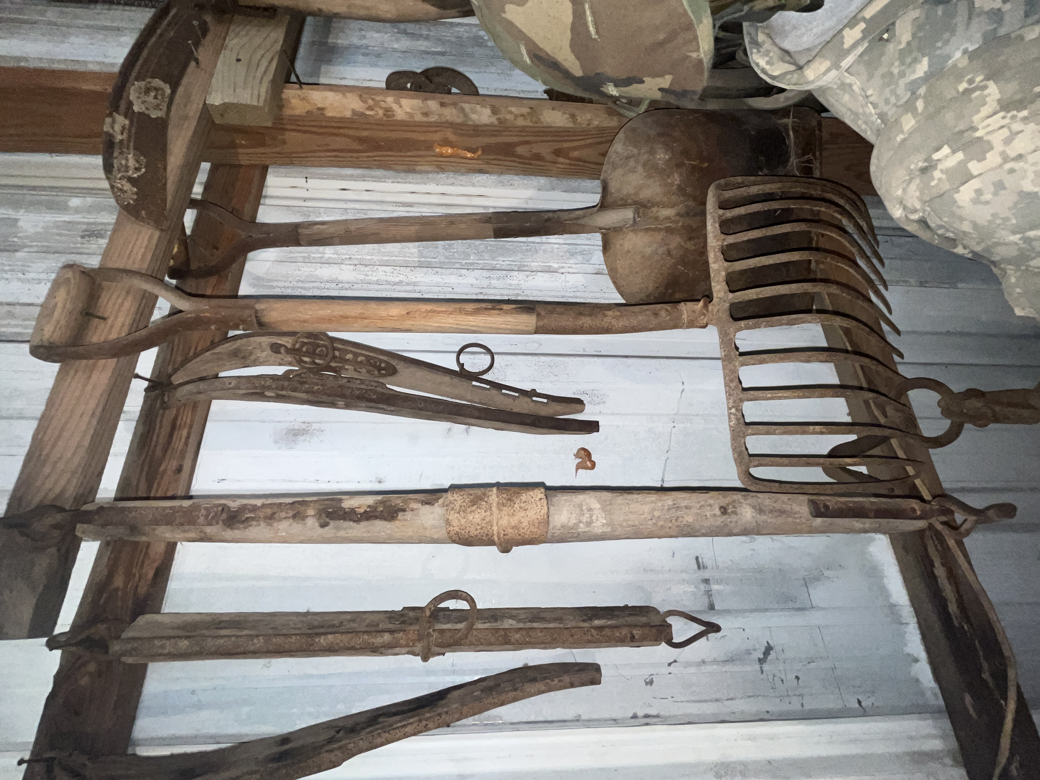 Collector's Dream Auction Image