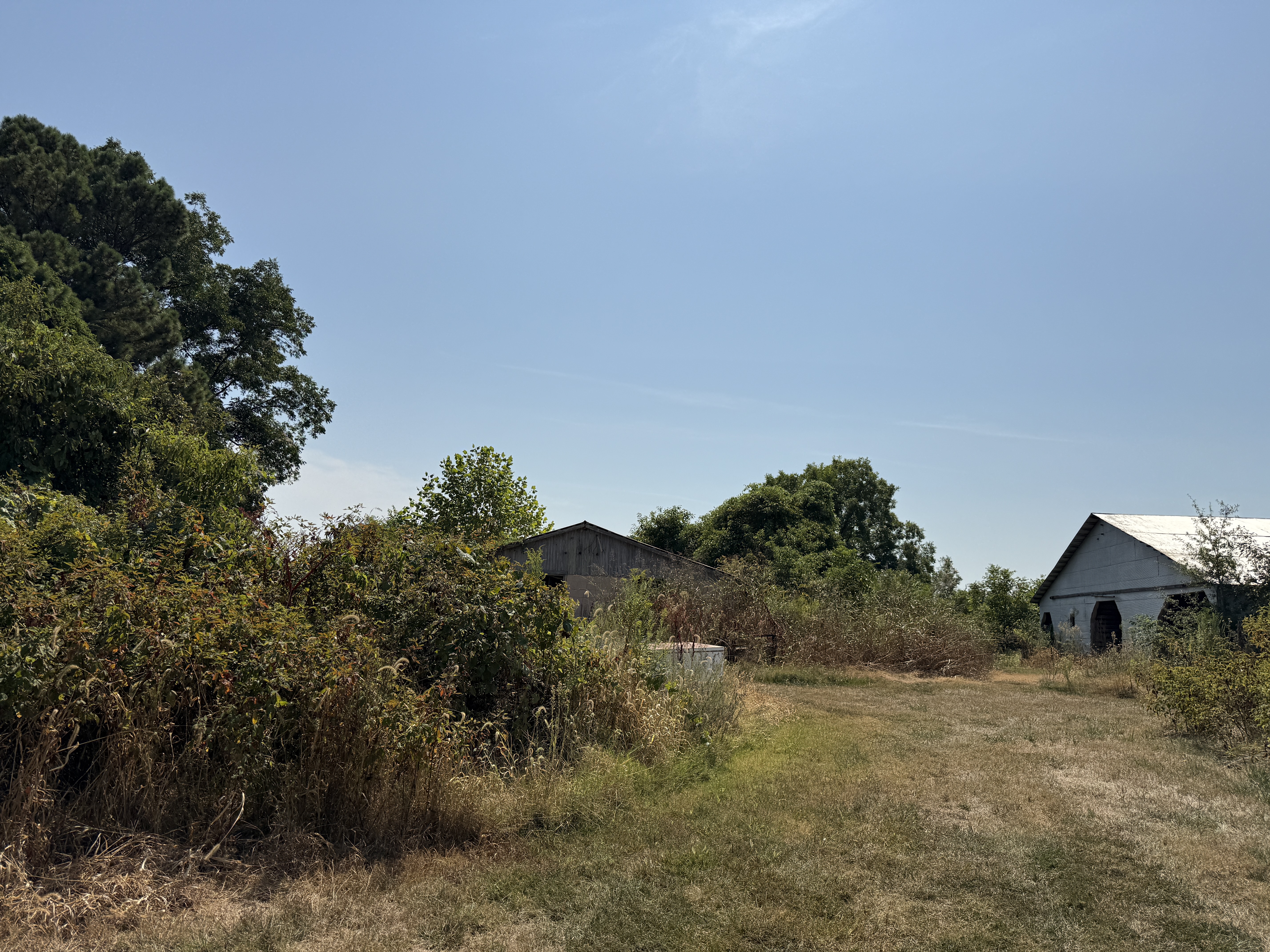 Real Estate (acreage & house) & Personal Property Auction Image