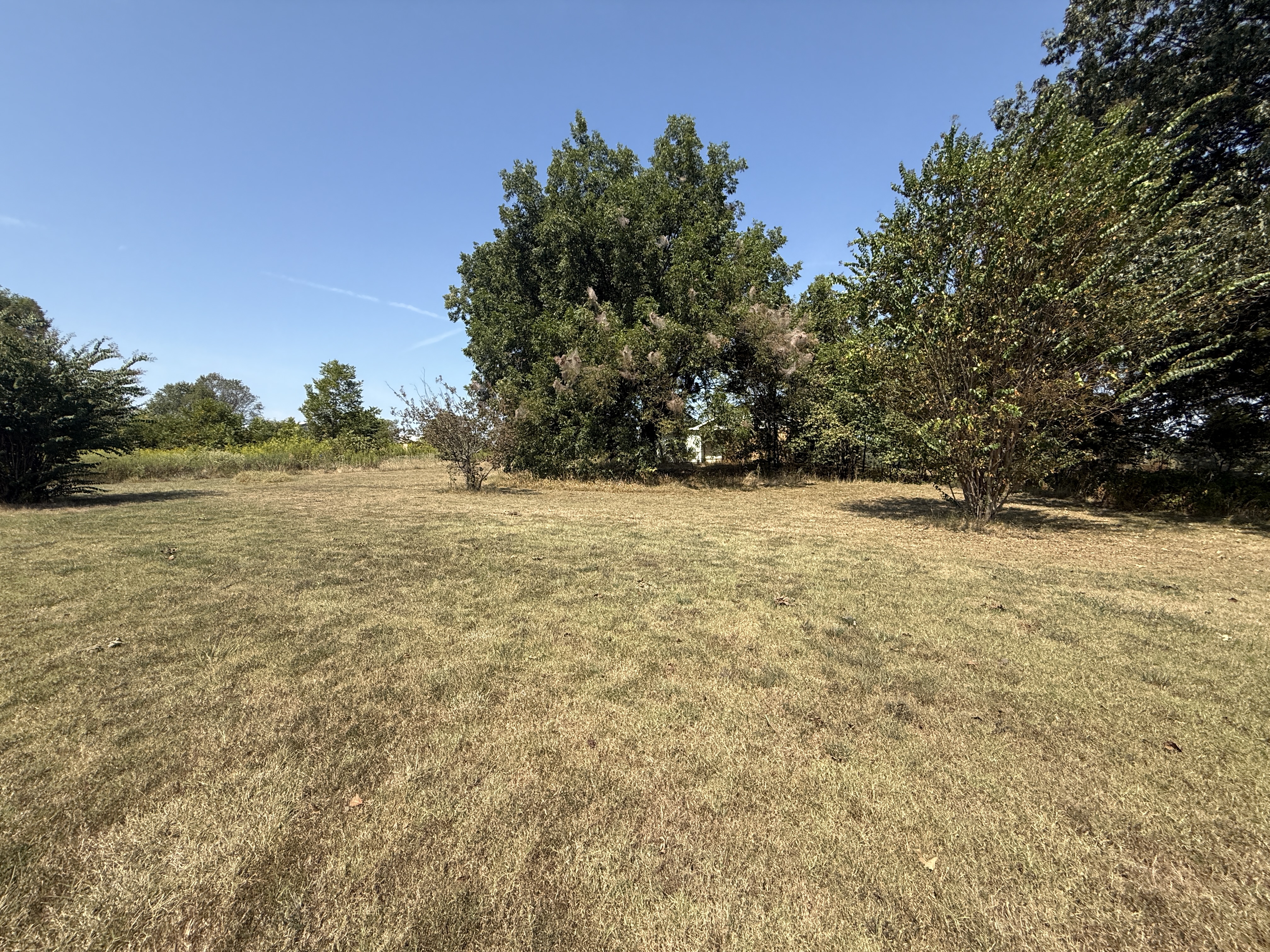 Real Estate (acreage & house) & Personal Property Auction Image