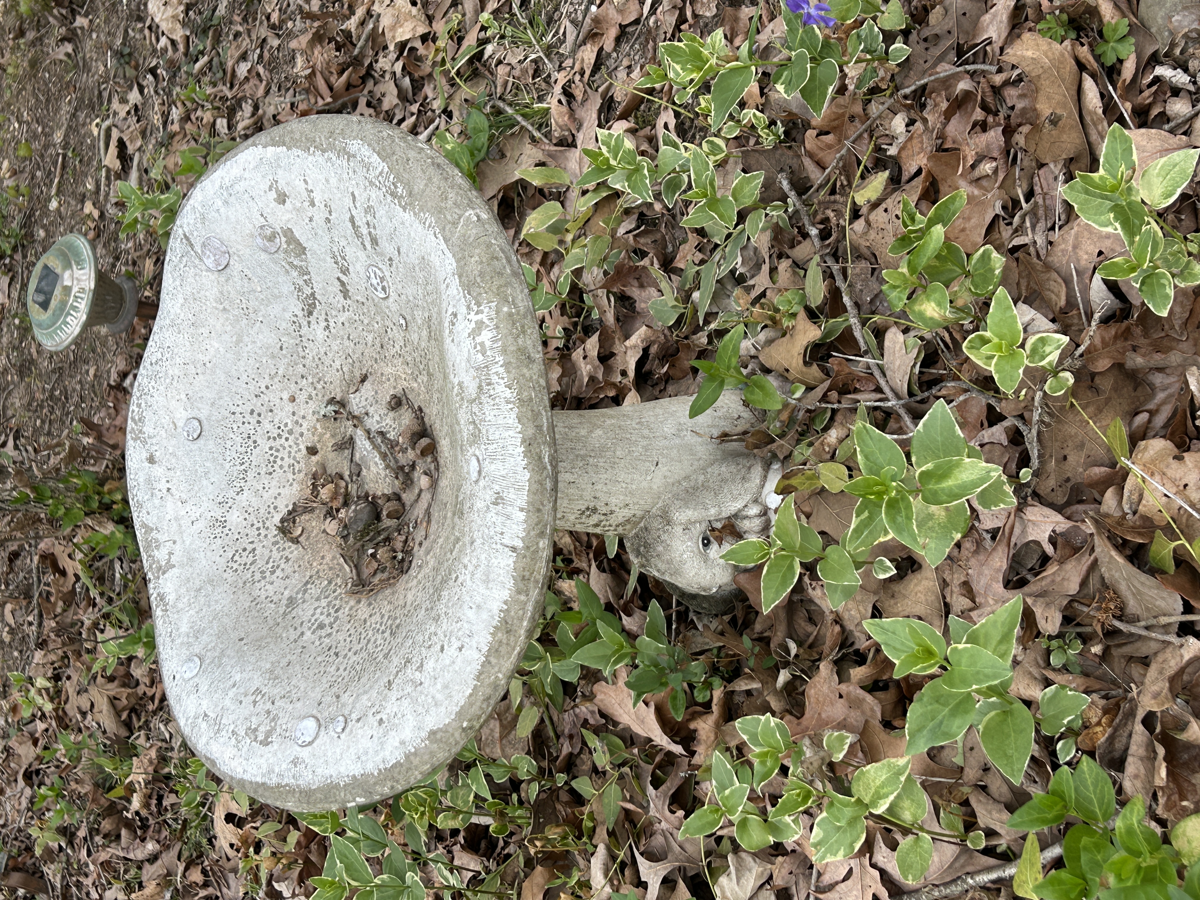 Real Estate & Personal Property Auction Image