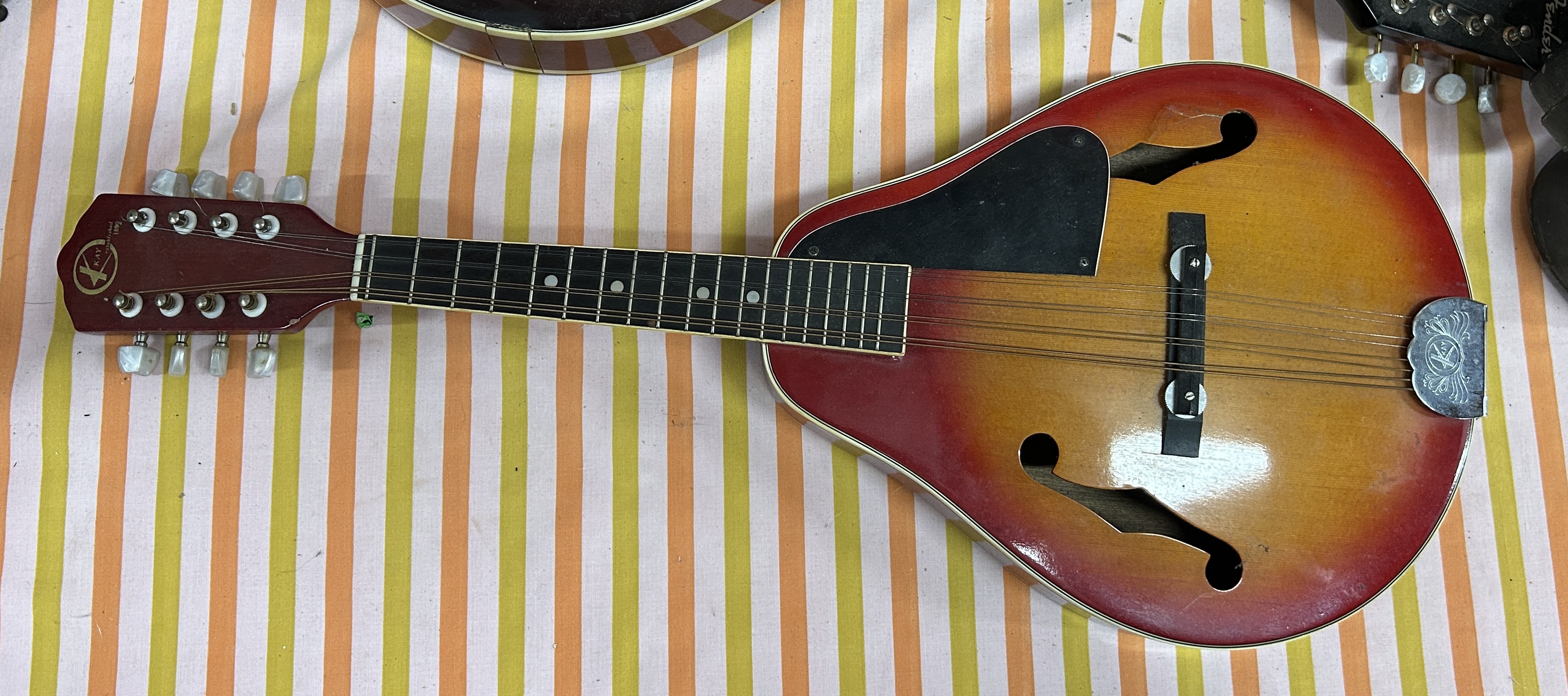 Estates of Gun & Bayonet Collection and Tools Image