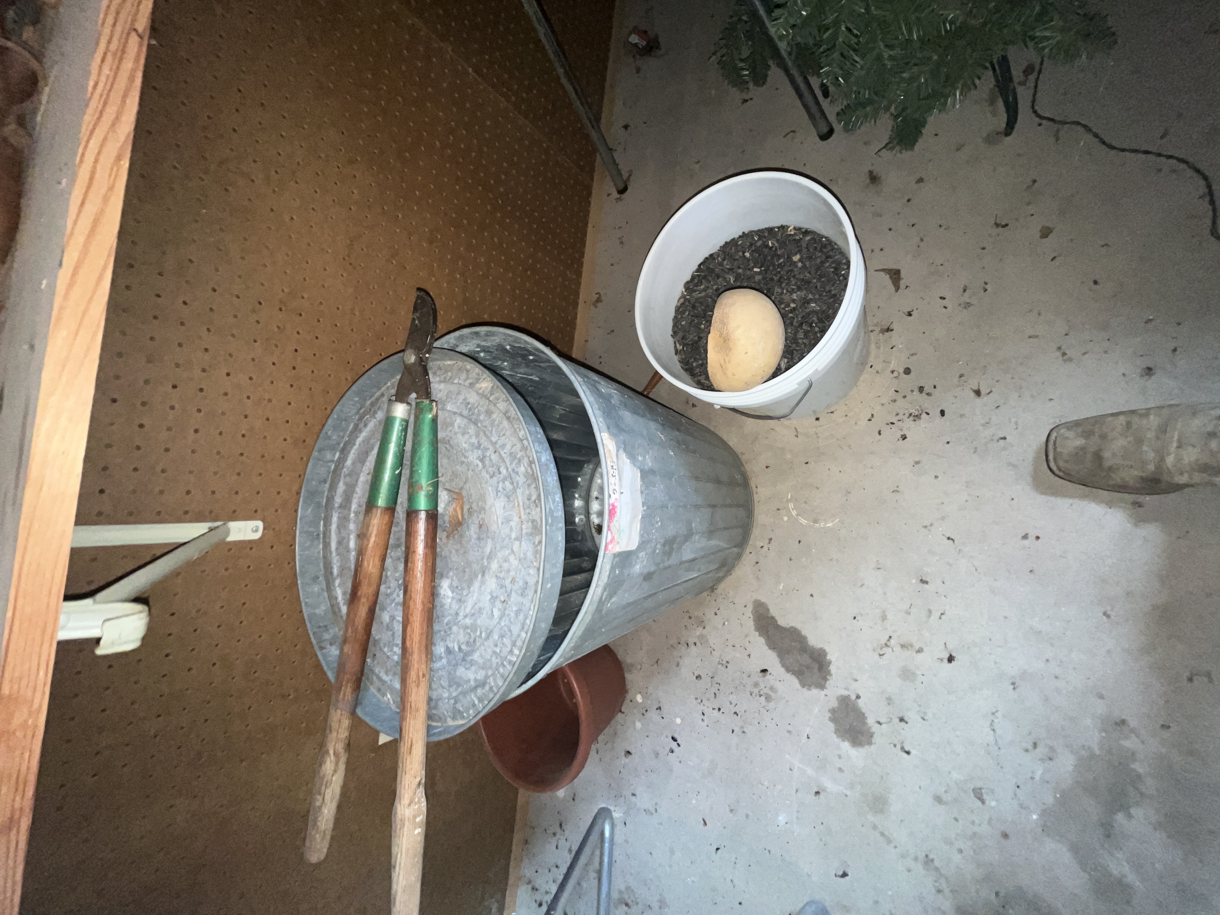 Estate Auction Image