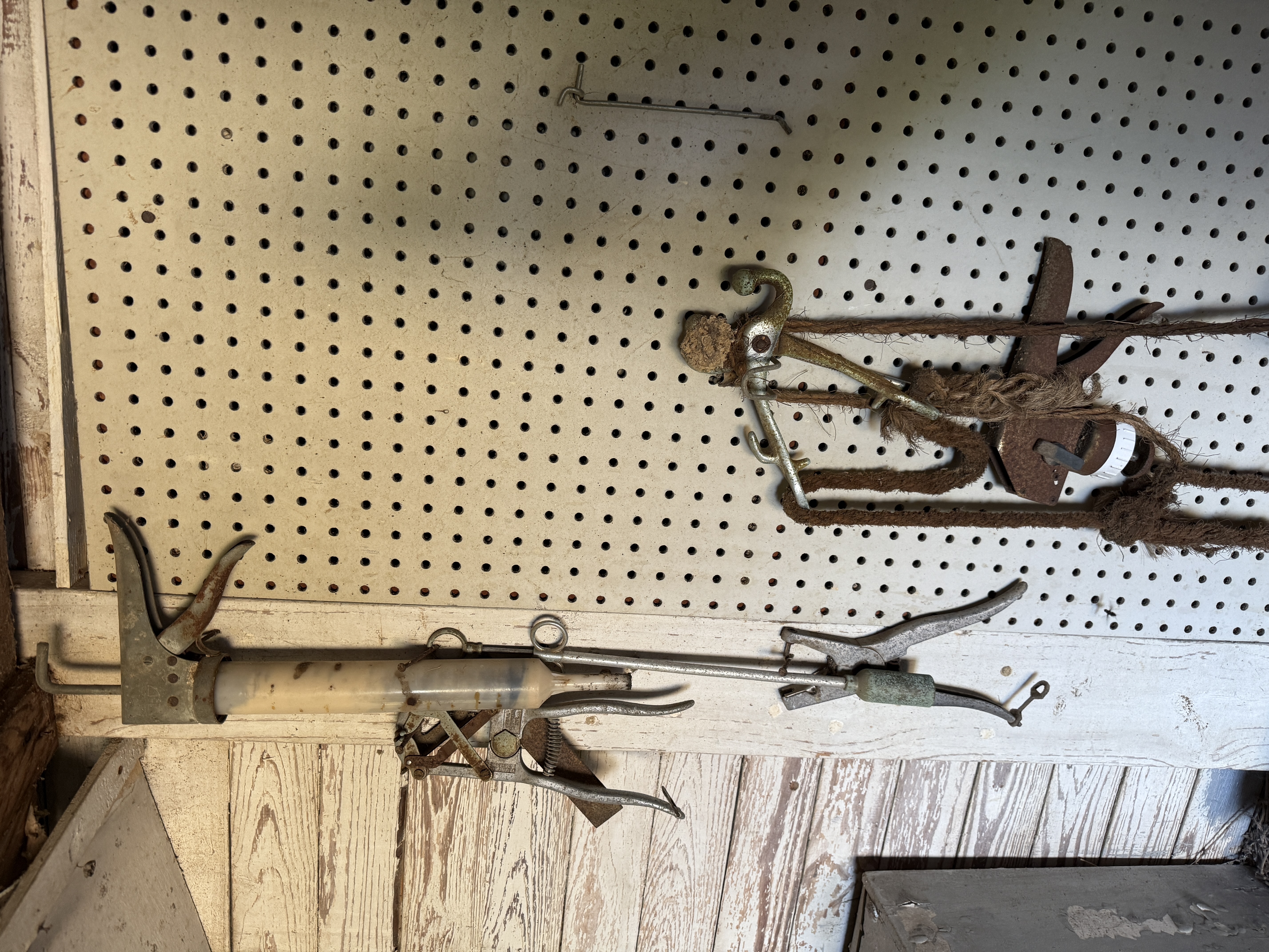 Real Estate & Personal Property Auction Image