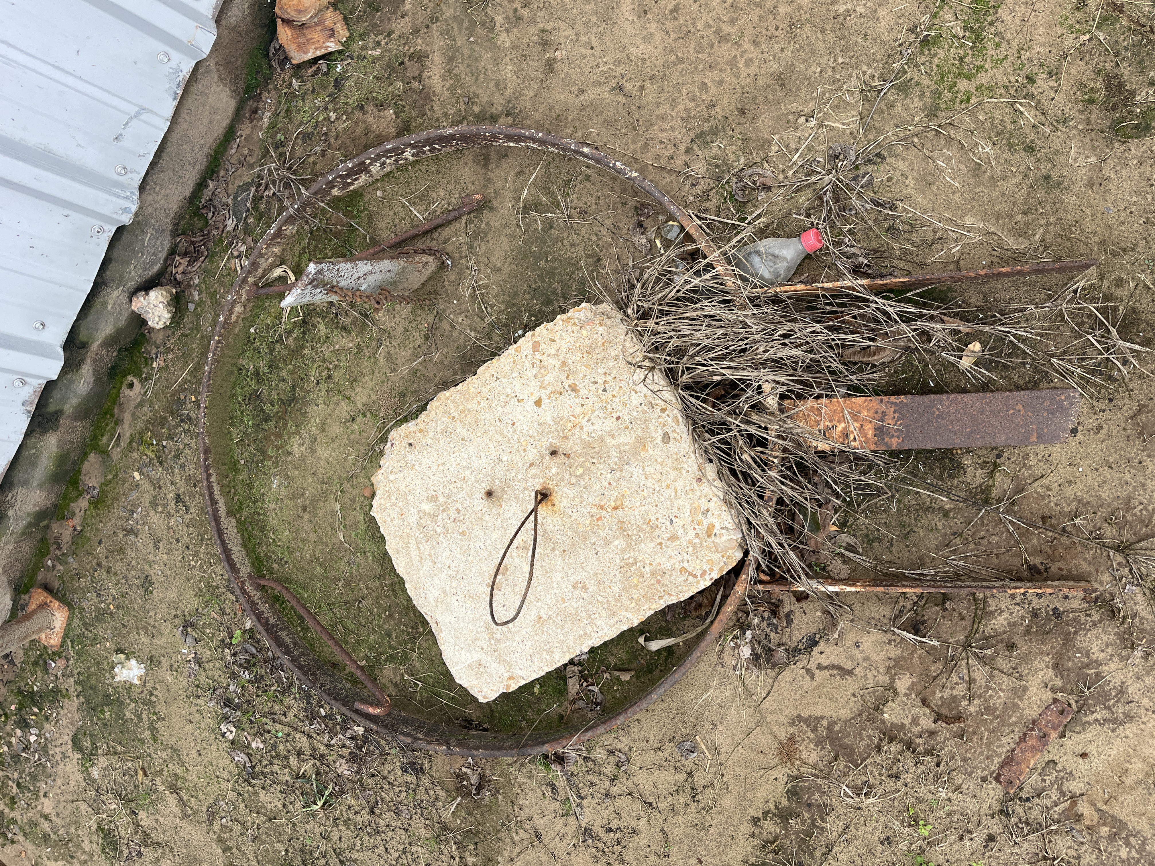 Collector's Dream Auction Image