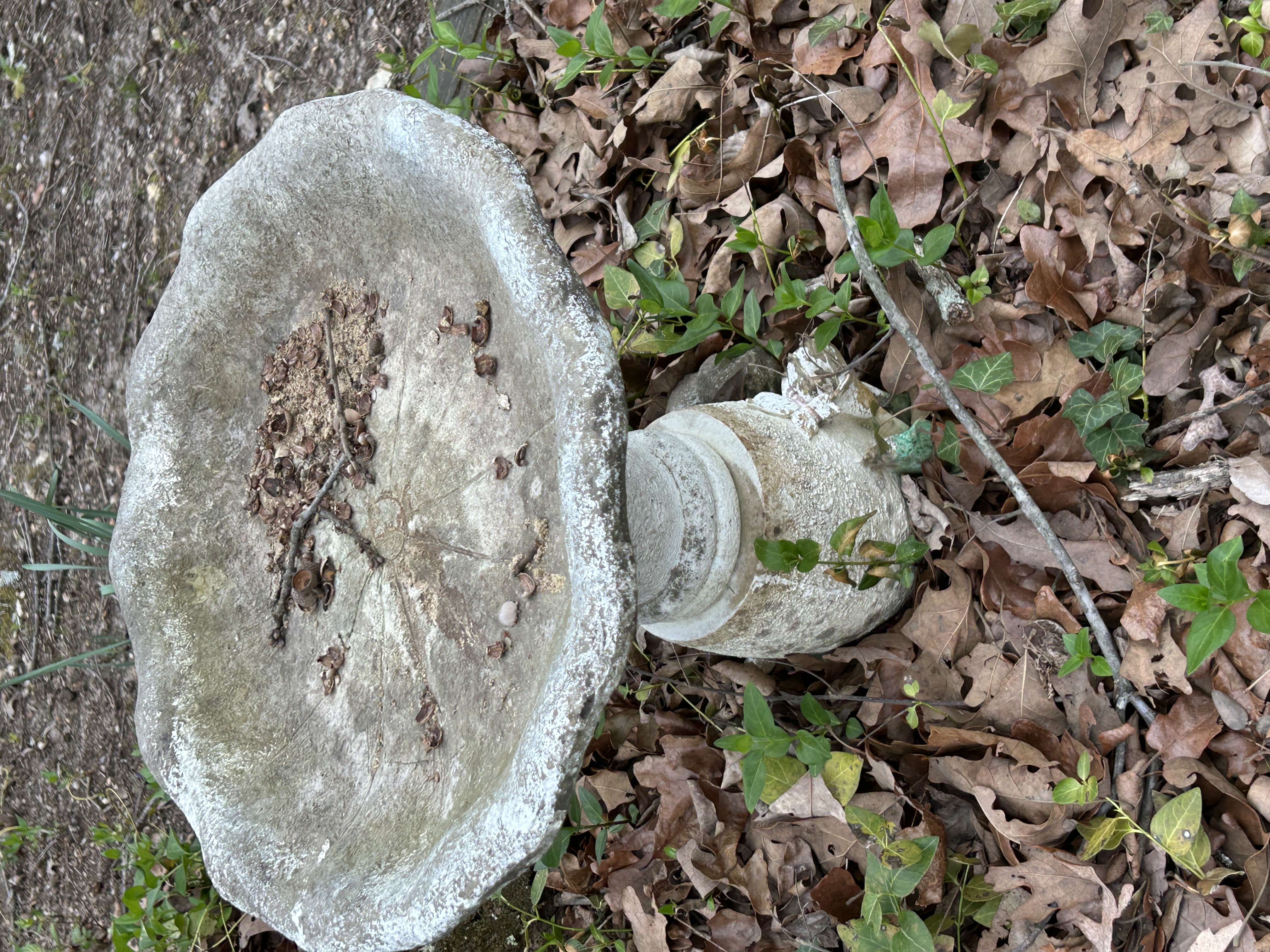 Real Estate & Personal Property Auction Image