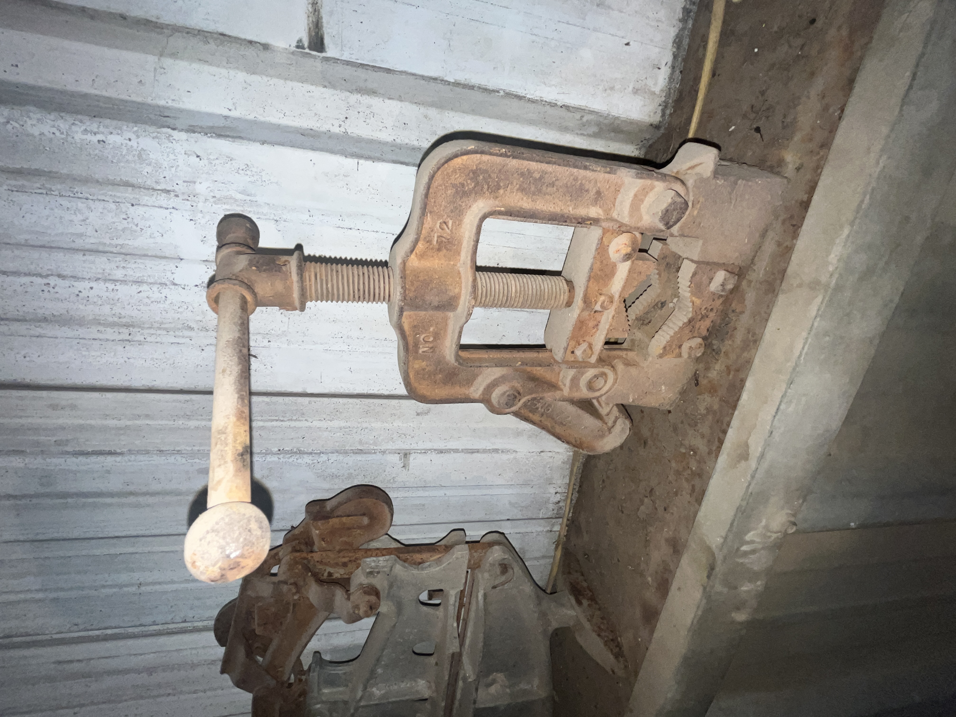 Collector's Dream Auction Image