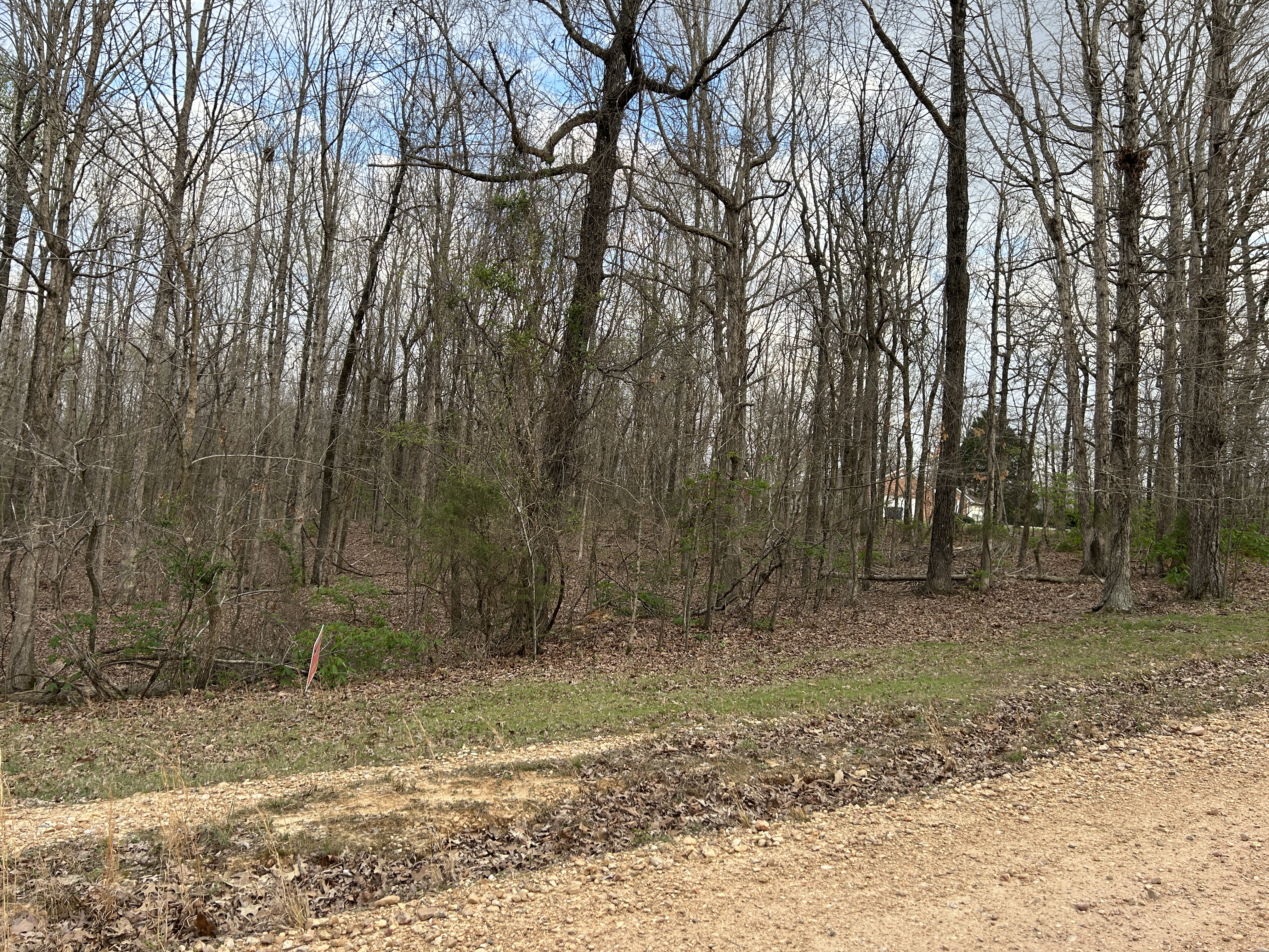 Real Estate & Personal Property Auction Image