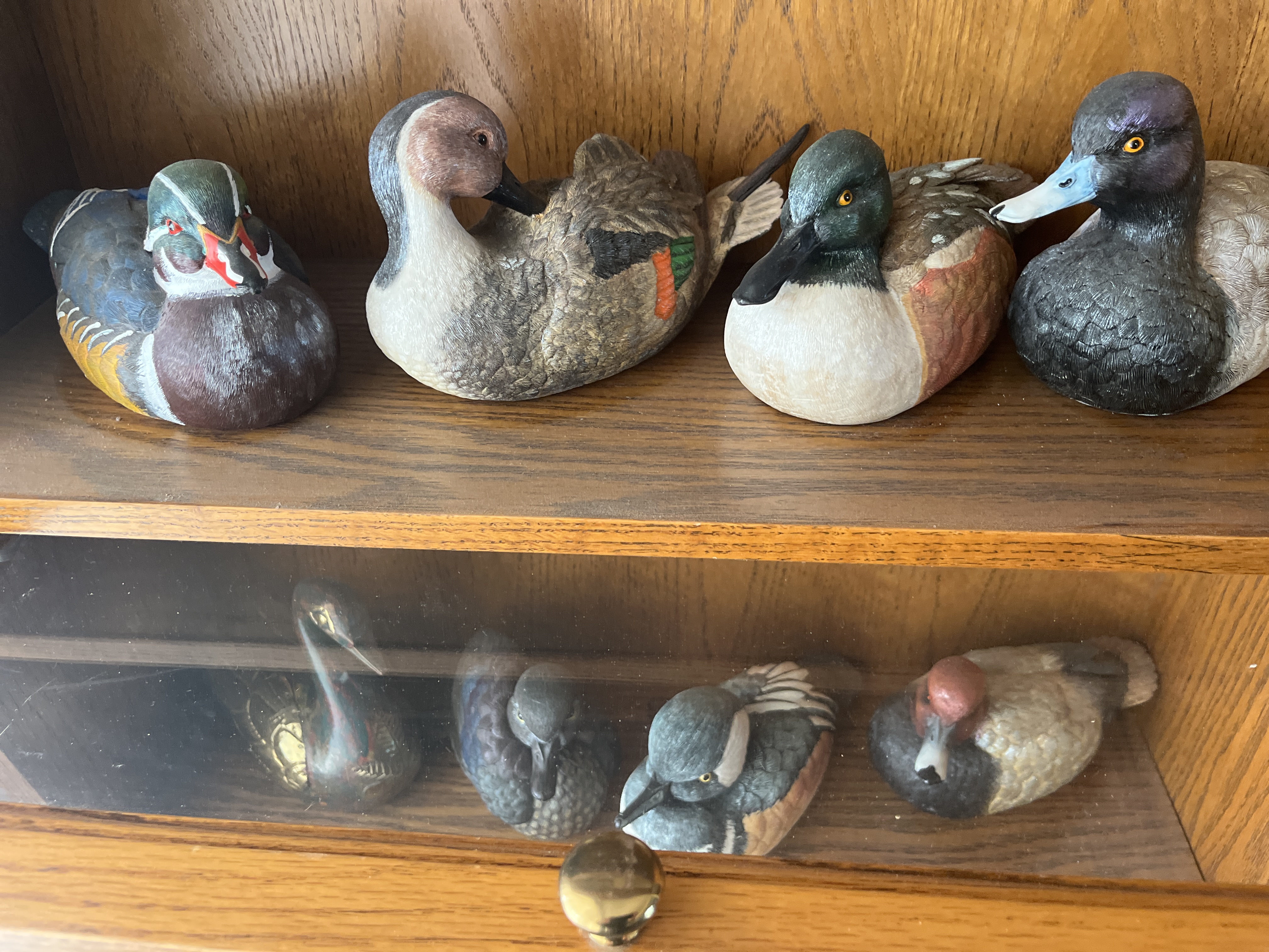 Living Estate of Ms Mary Schug Image