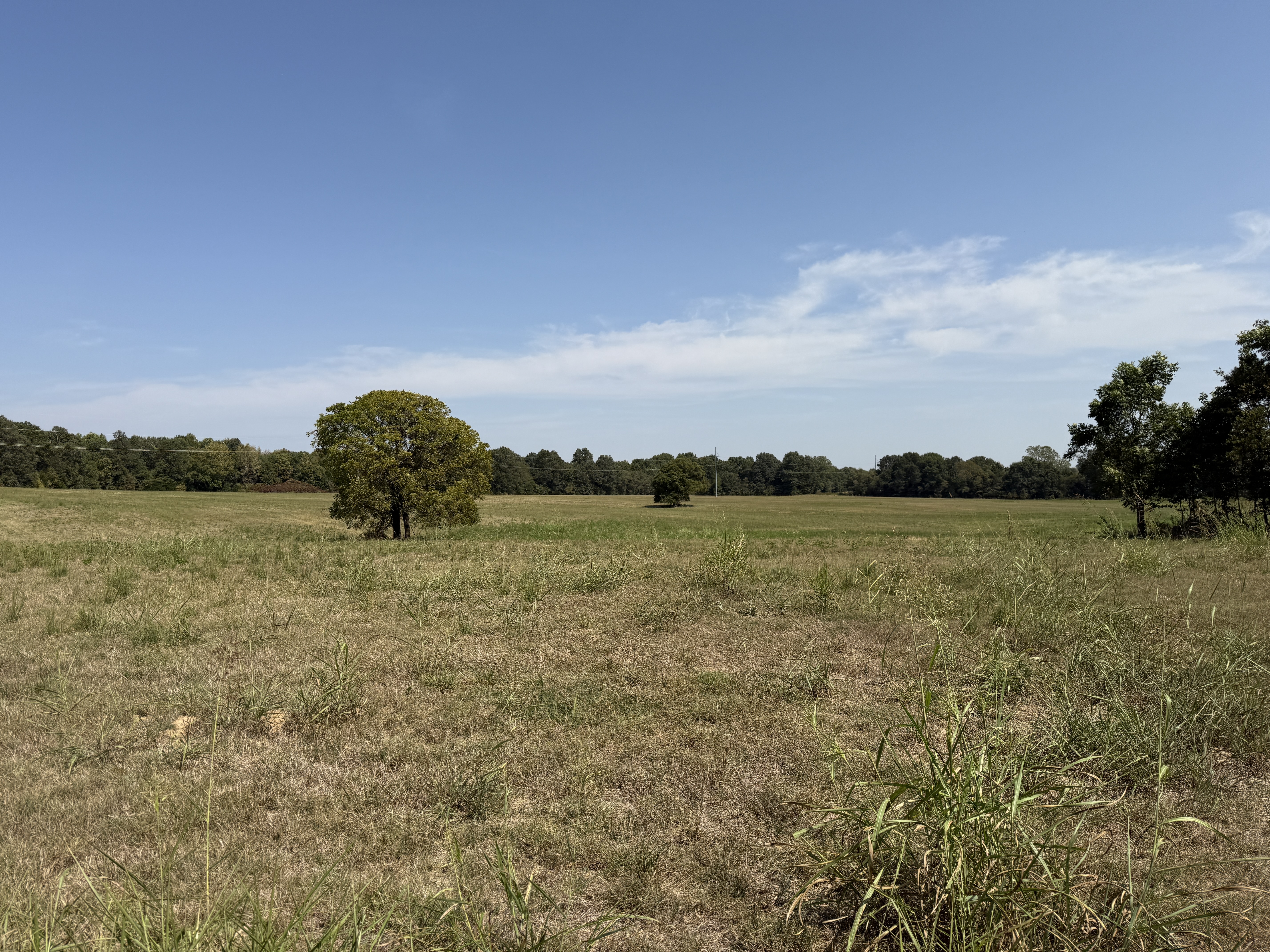 Real Estate (acreage & house) & Personal Property Auction Image