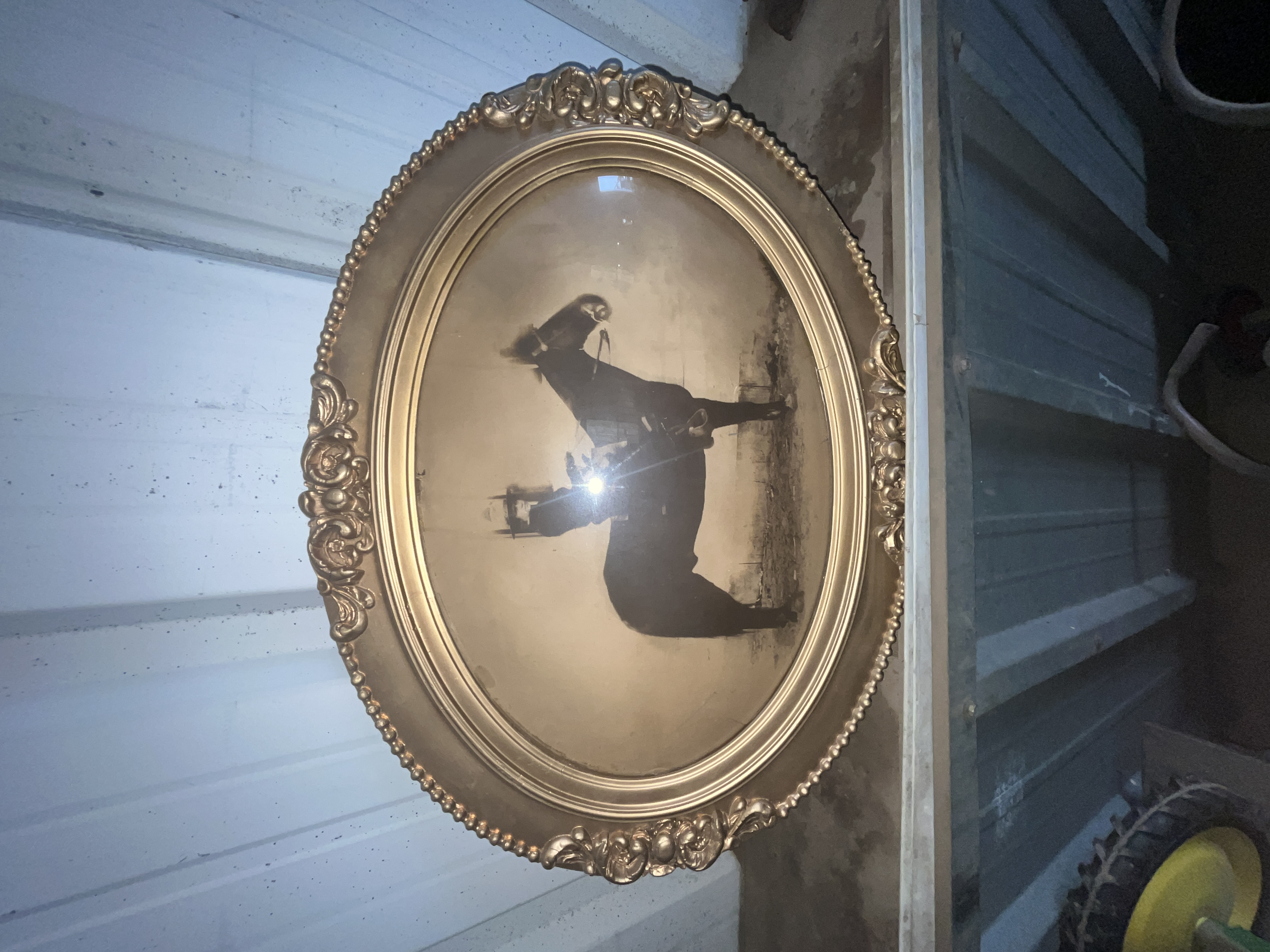 Collector's Dream Auction Image