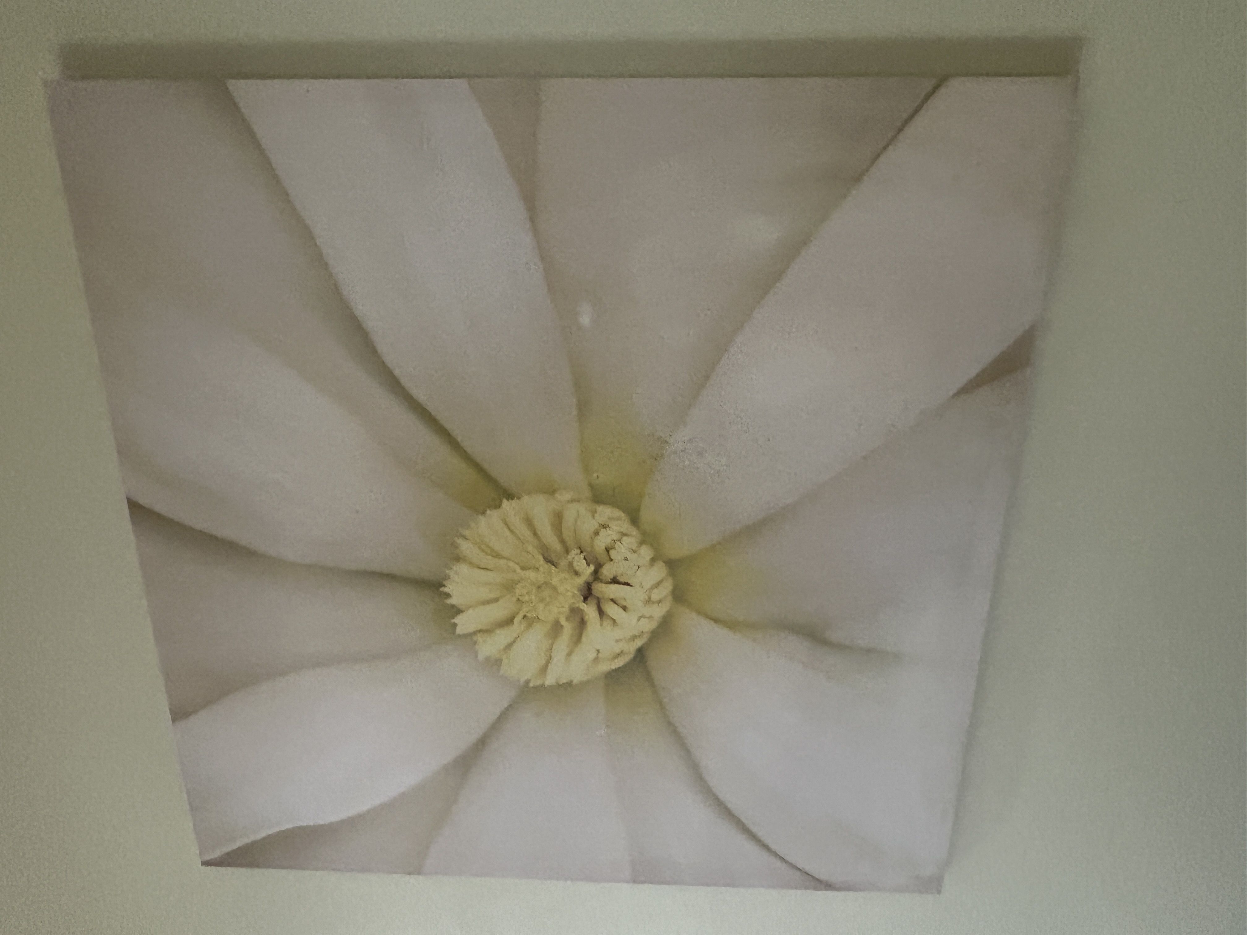 Real Estate & Personal Property Auction Image