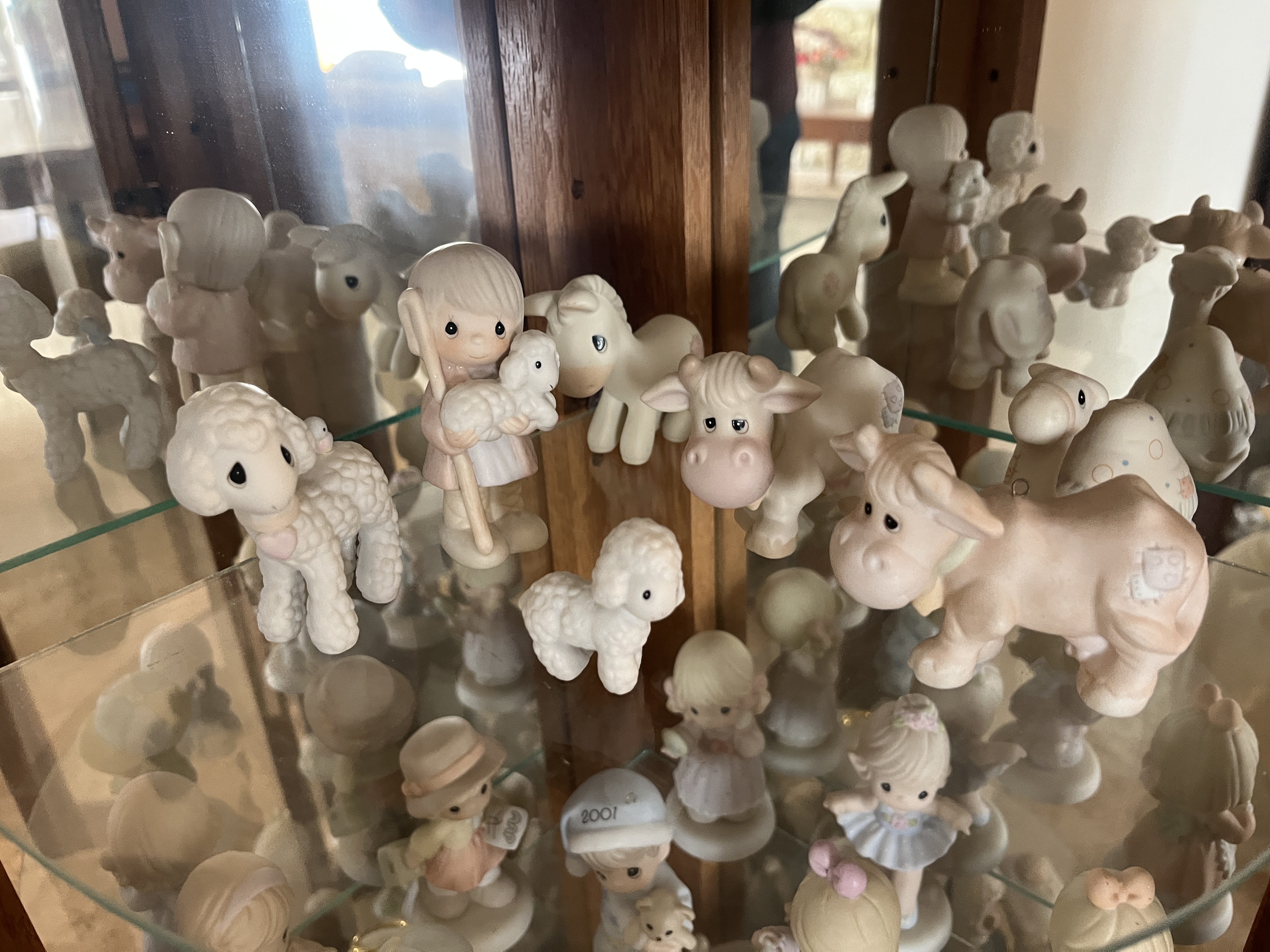 Living Estate of Ms Mary Schug Image