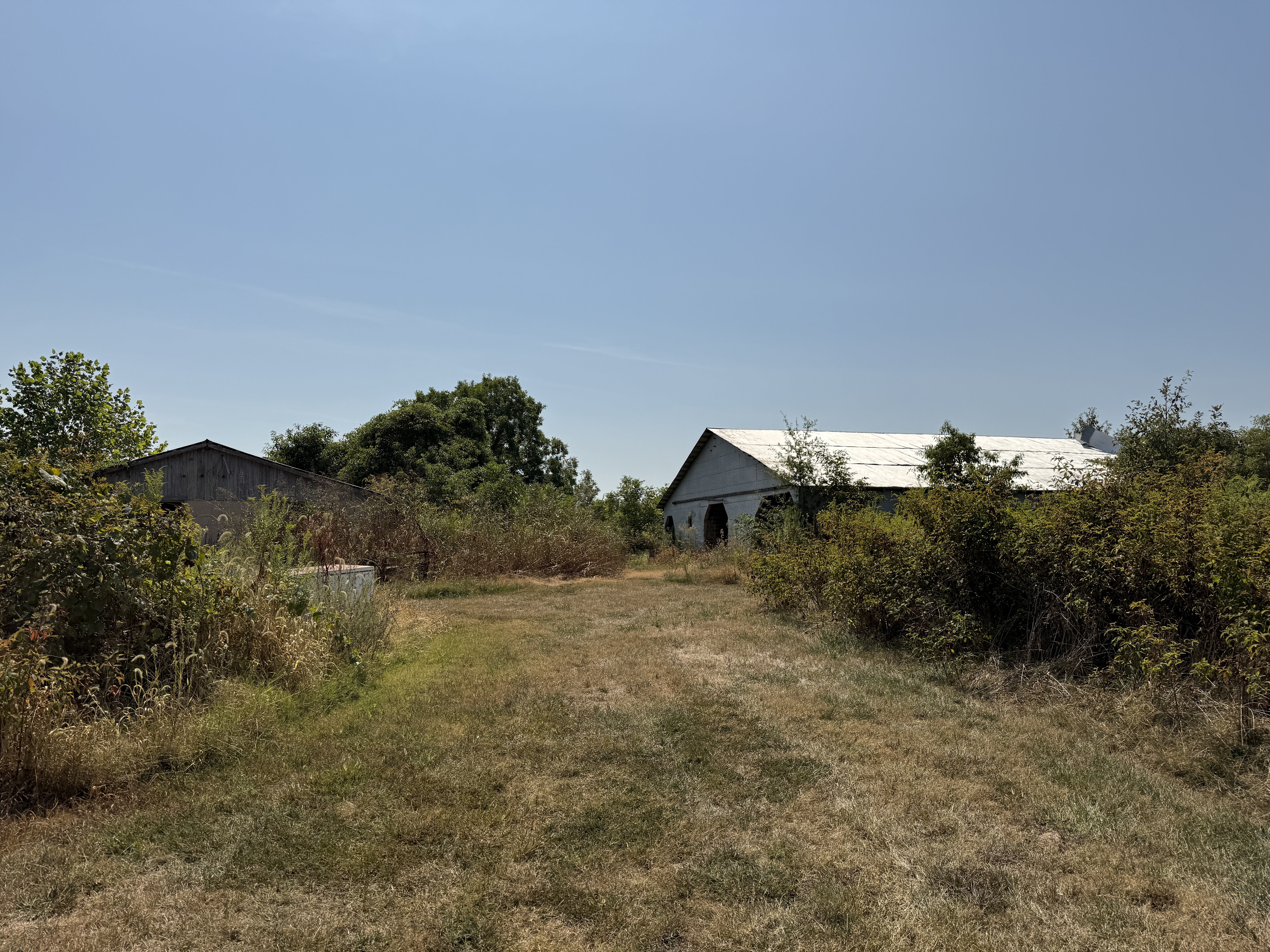 Real Estate (acreage & house) & Personal Property Auction Image