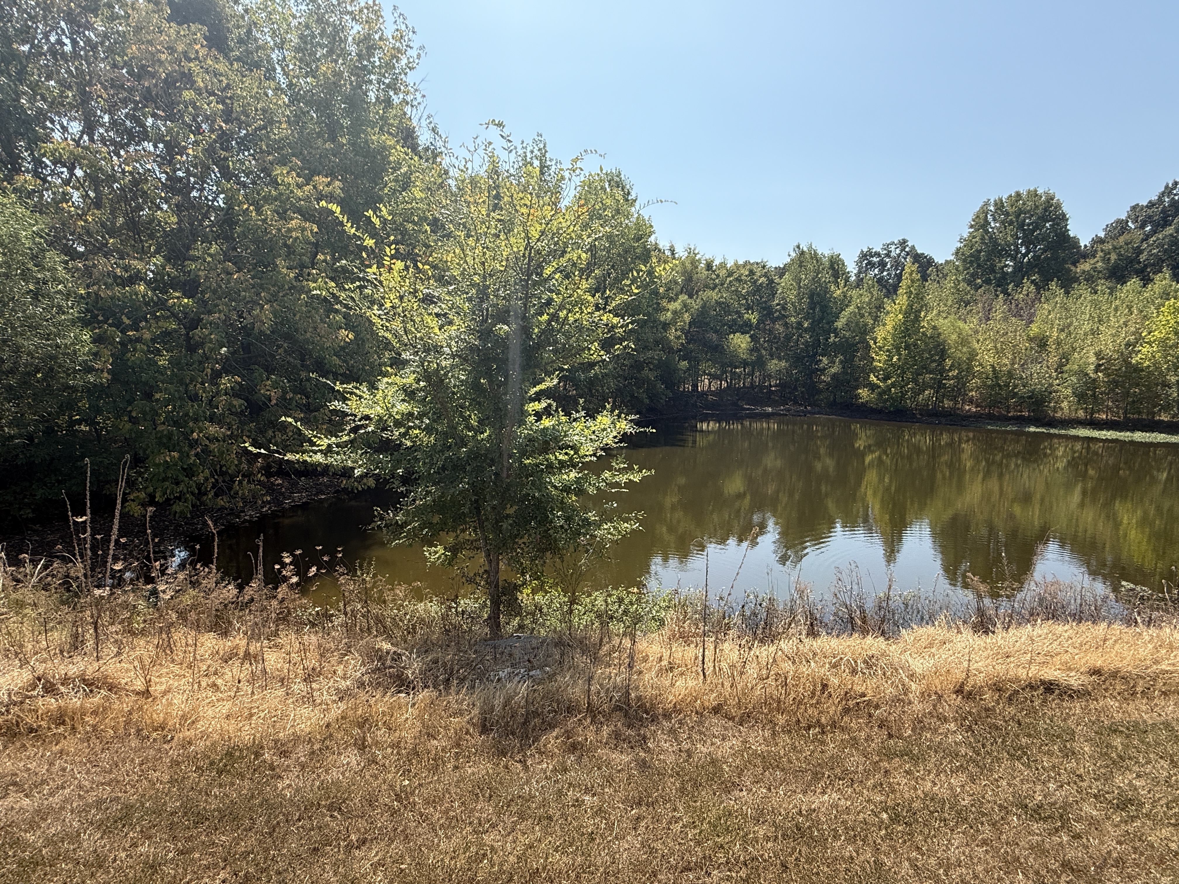 Real Estate (acreage & house) & Personal Property Auction Image