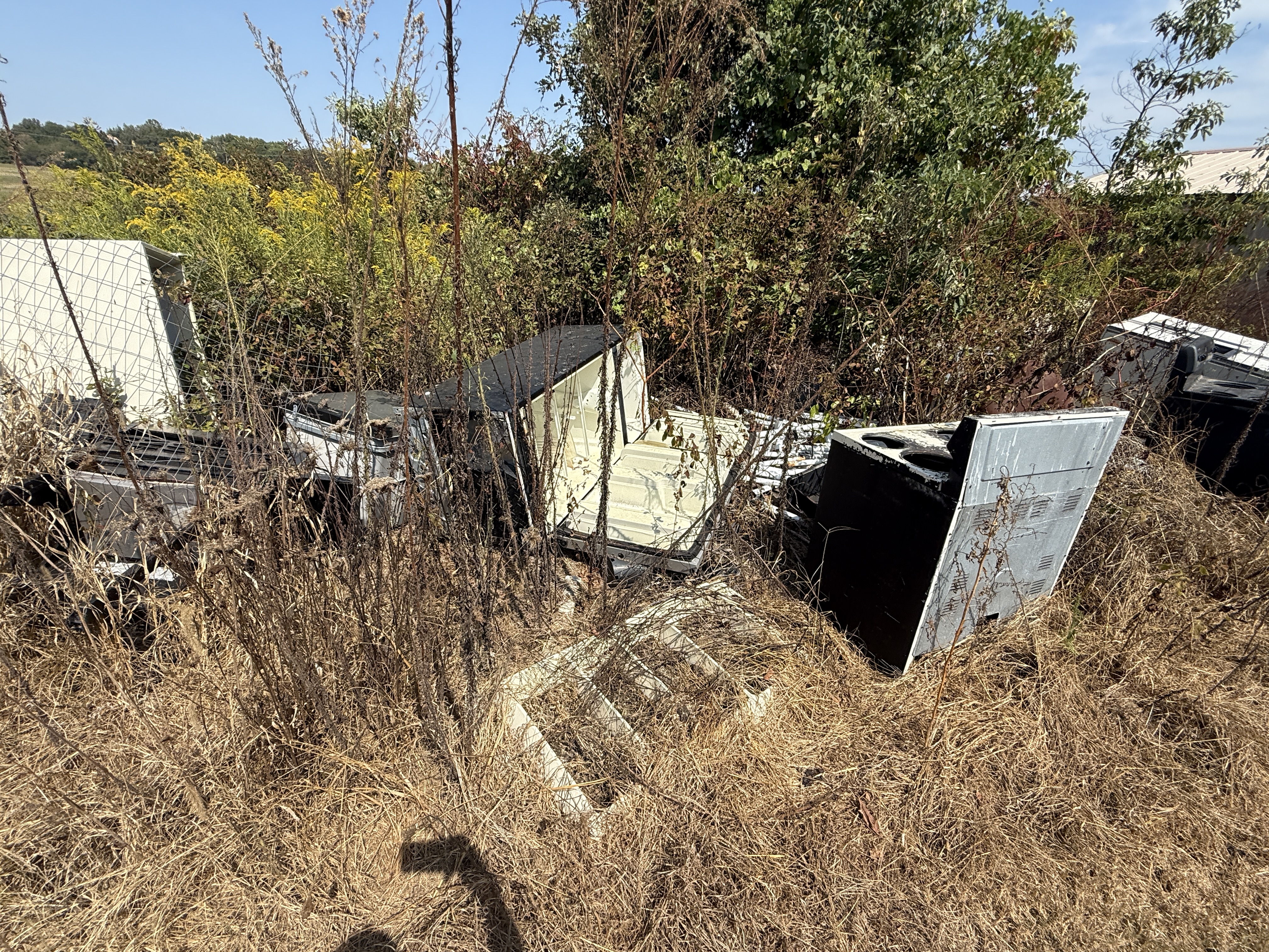 Real Estate & Personal Property Auction Image