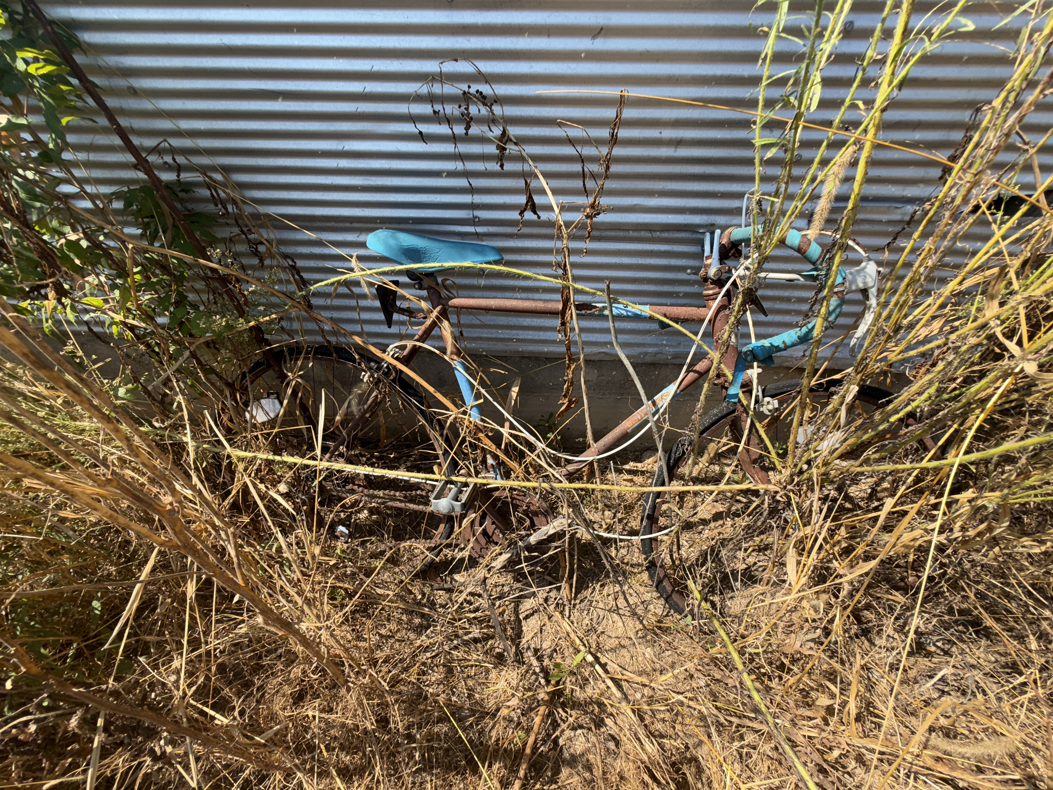Real Estate & Personal Property Auction Image