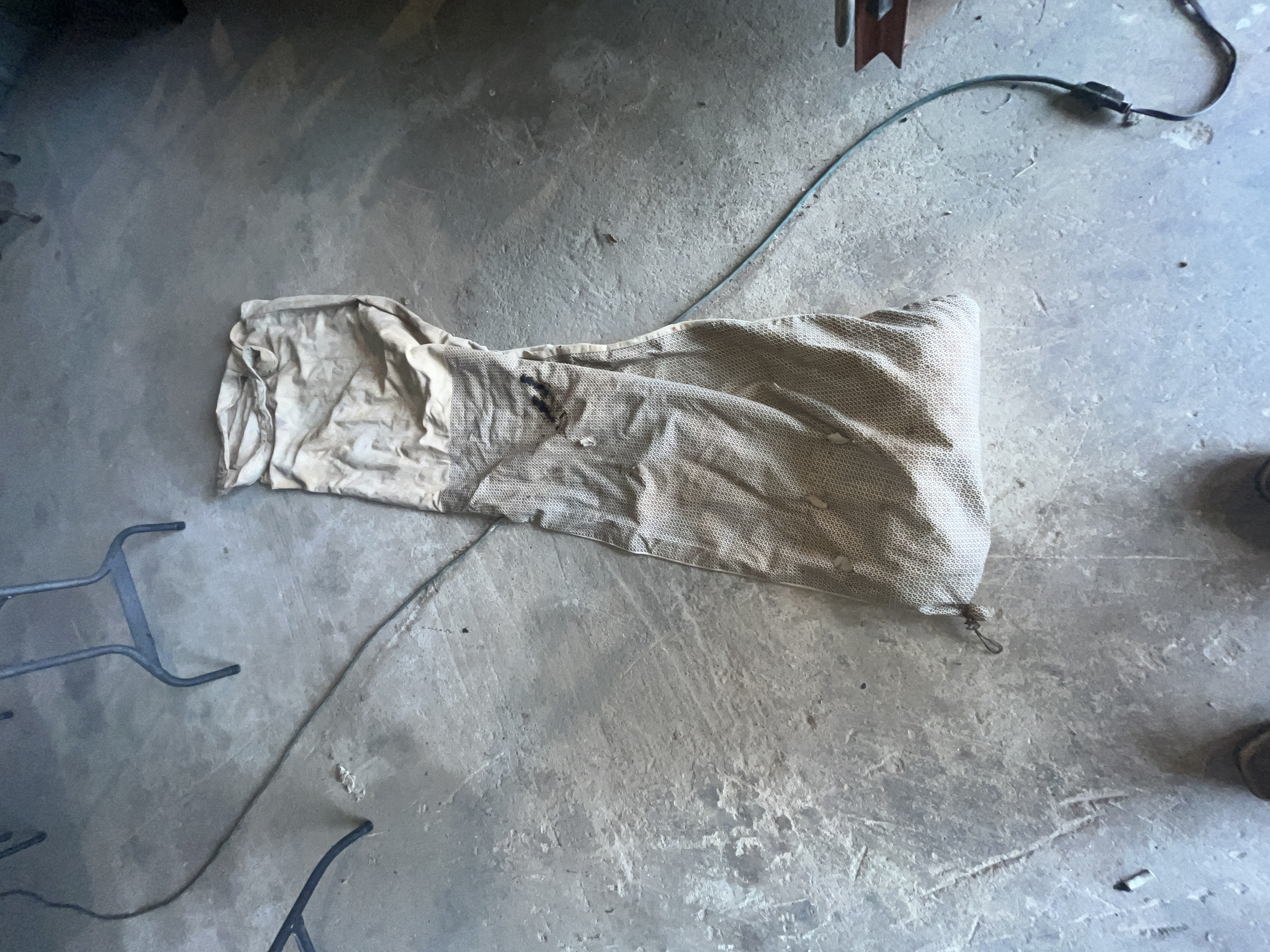 Collector's Dream Auction Image