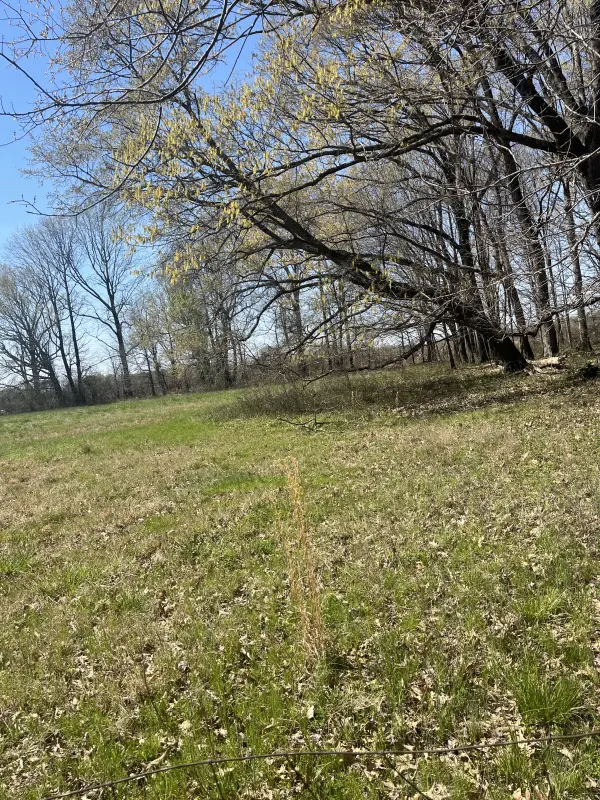 Real Estate & Personal Property Auction Image