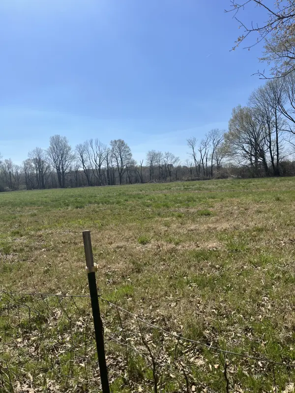 Real Estate & Personal Property Auction Image