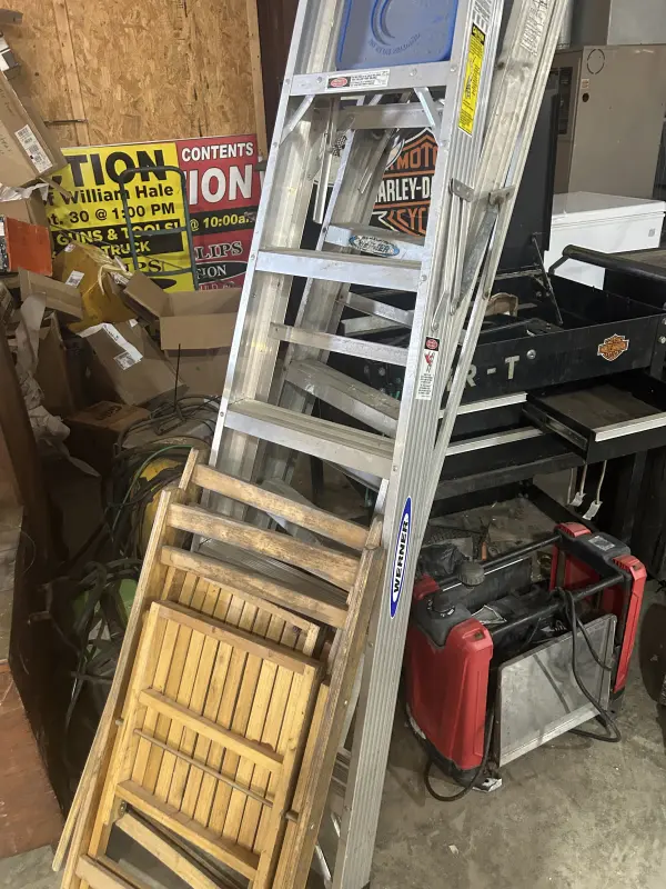 Live Public Auction Image